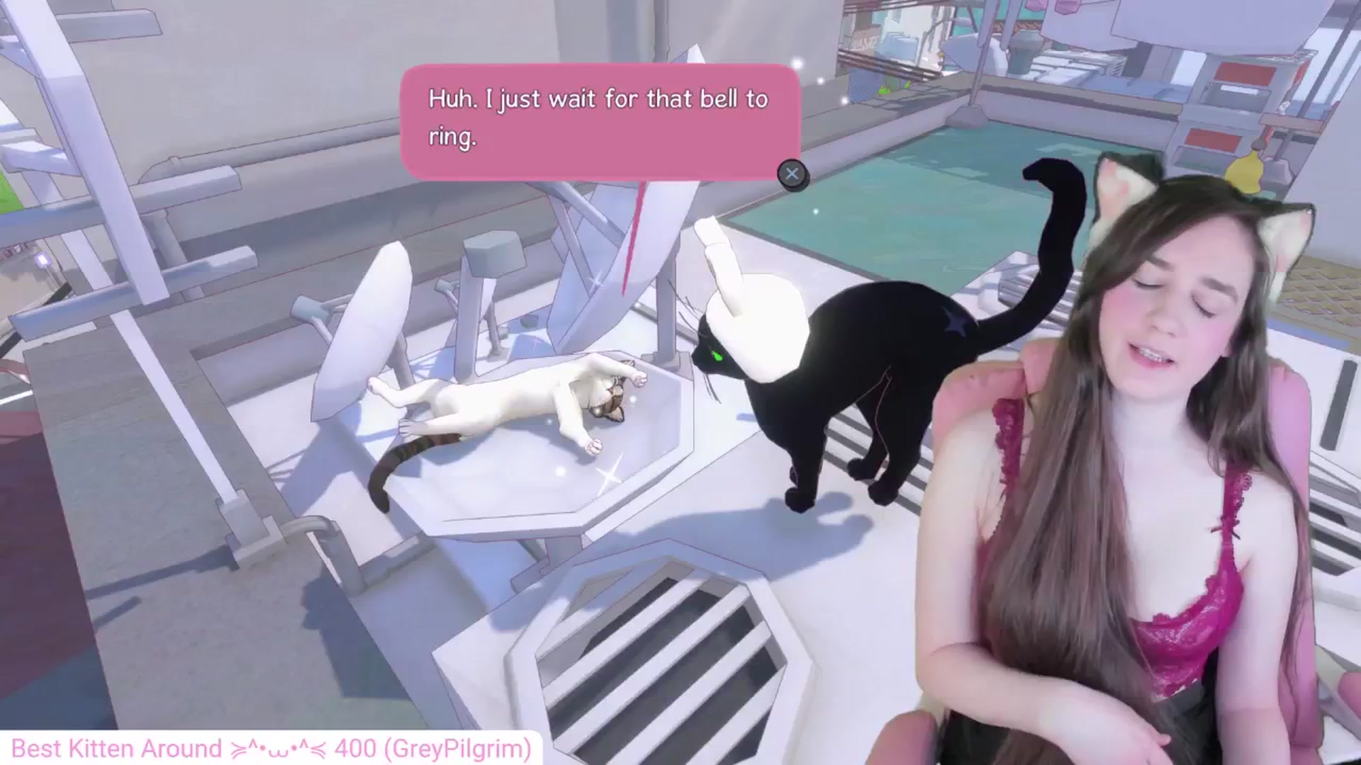 Gallery image thumbnail from Kitty's myfreecams stream on, 05/15/2024, 04:42 image 11 of 20