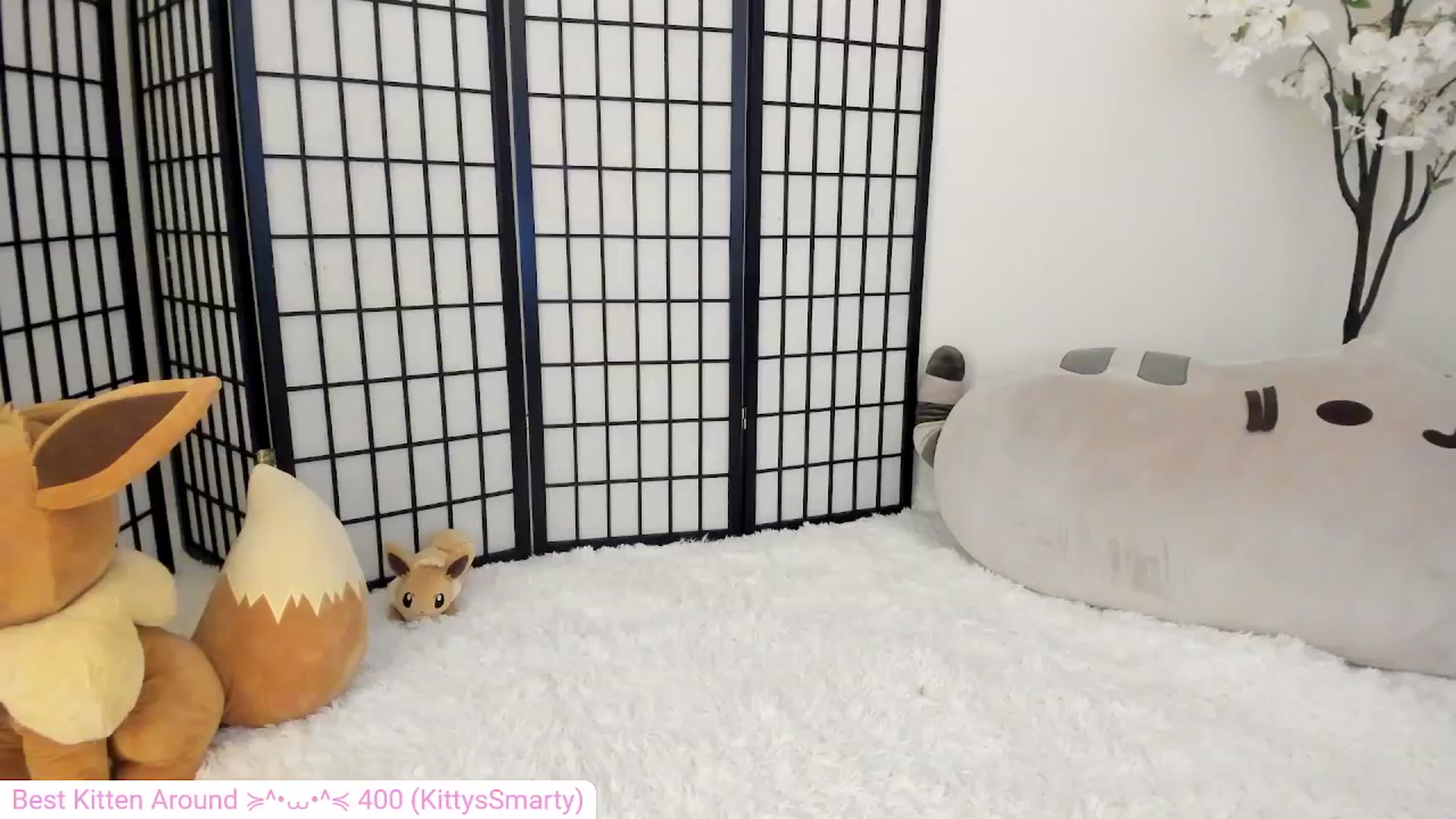 Gallery image thumbnail from Kitty's myfreecams stream on, 05/18/2024, 06:14 image 15 of 20