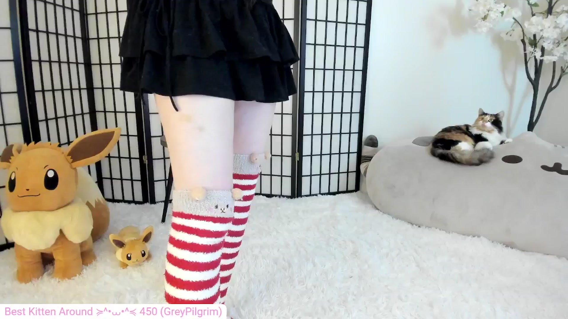 Gallery image thumbnail from Kitty's myfreecams stream on, 05/26/2024, 07:48 image 13 of 20