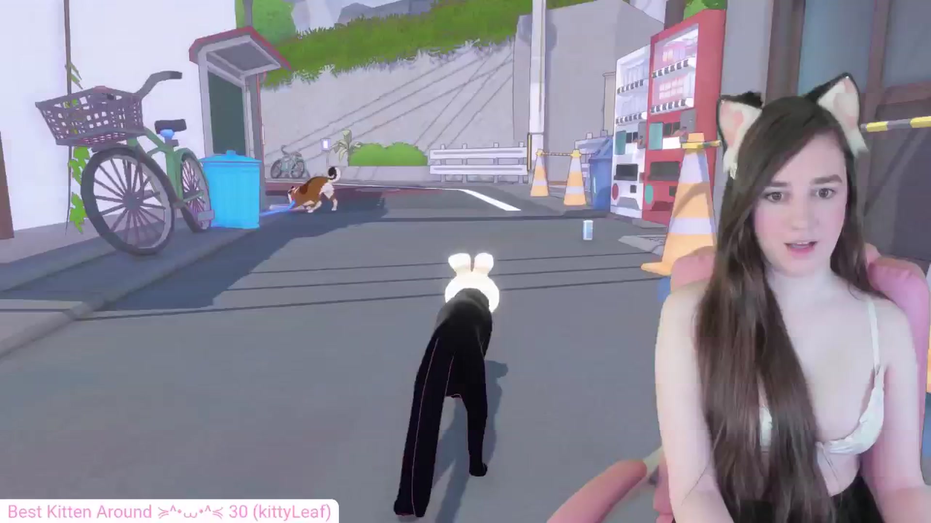 Gallery image thumbnail from Kitty's myfreecams stream on, 05/27/2024, 06:04 image 7 of 20