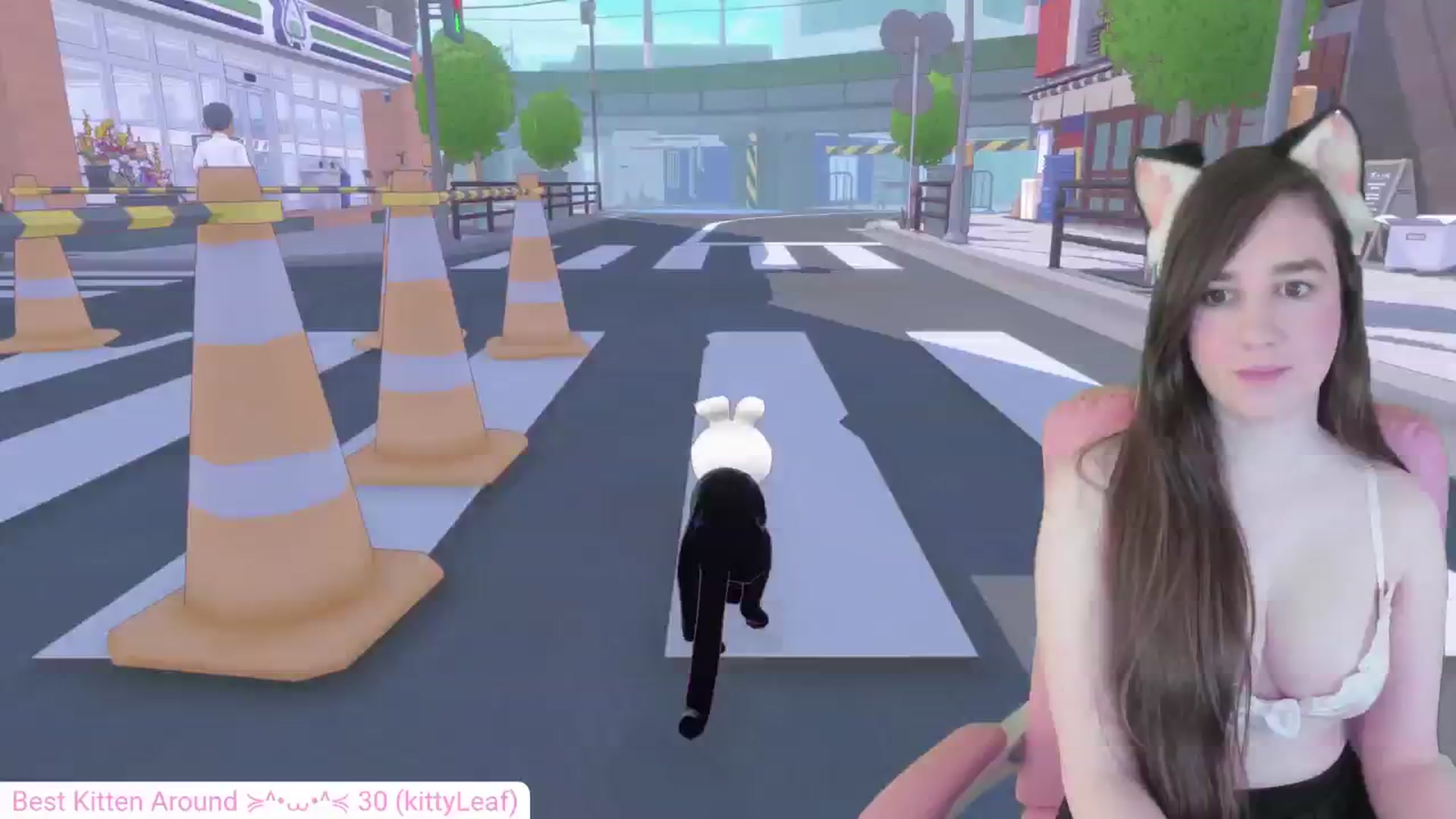 Gallery image thumbnail from Kitty's myfreecams stream on, 05/27/2024, 06:04 image 5 of 20
