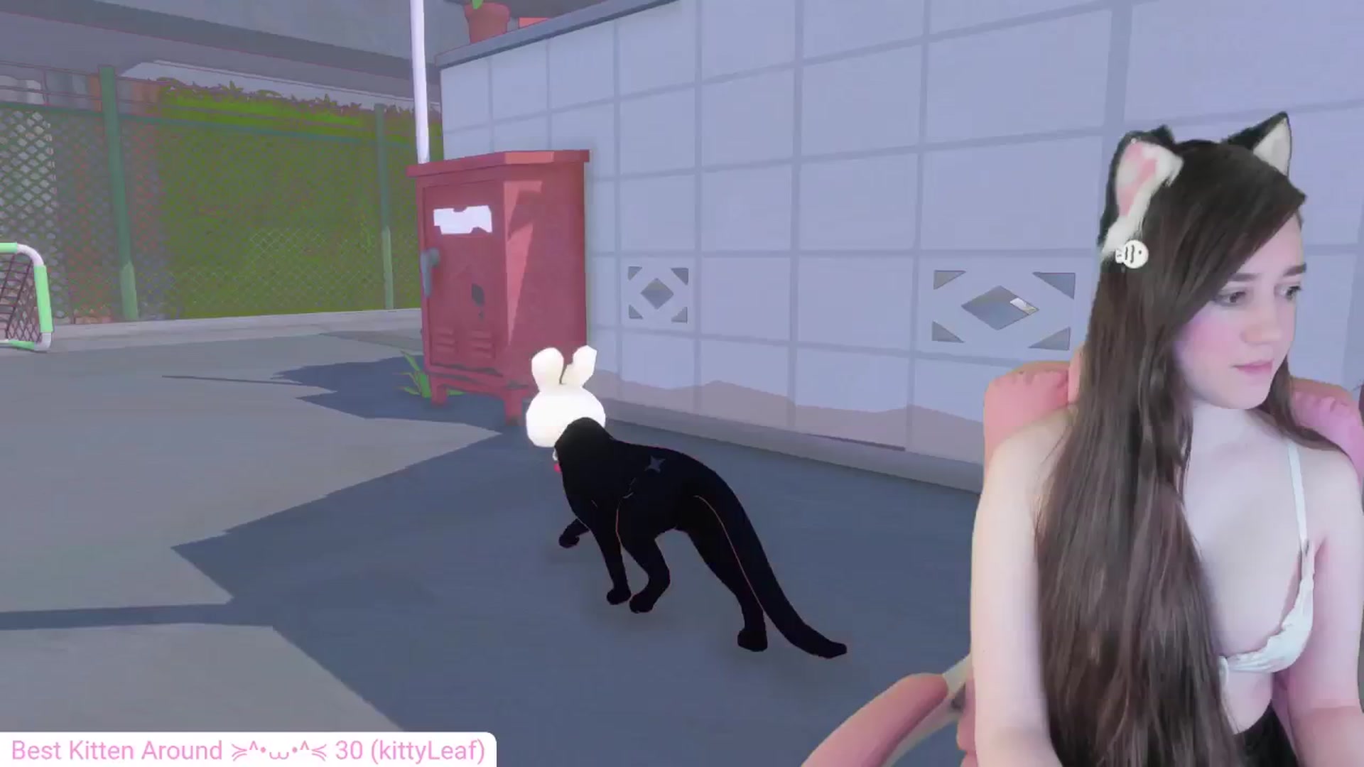 Gallery image thumbnail from Kitty's myfreecams stream on, 05/27/2024, 06:04 image 6 of 20