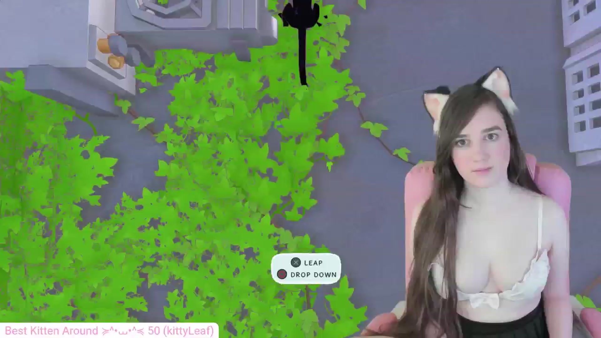 Gallery image thumbnail from Kitty's myfreecams stream on, 05/27/2024, 06:04 image 11 of 20