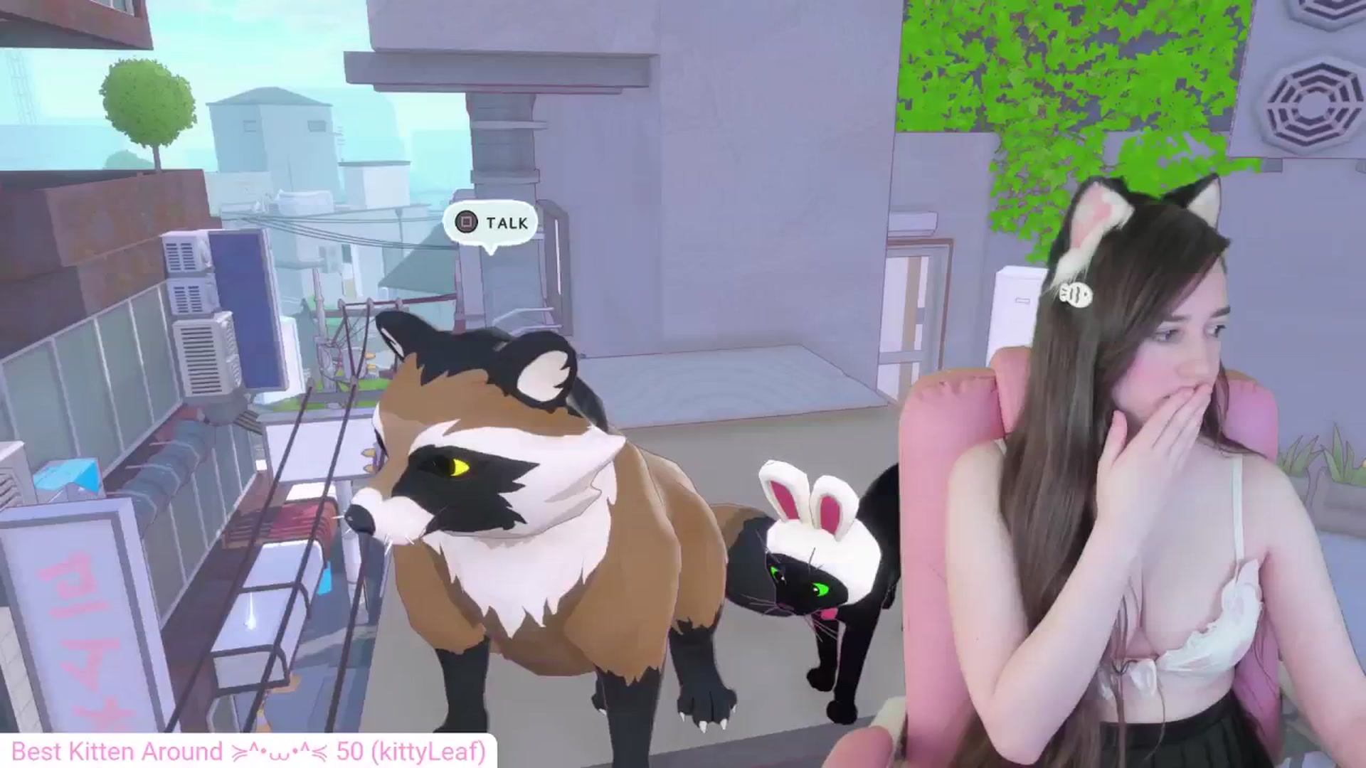 Gallery image thumbnail from Kitty's myfreecams stream on, 05/27/2024, 06:04 image 13 of 20