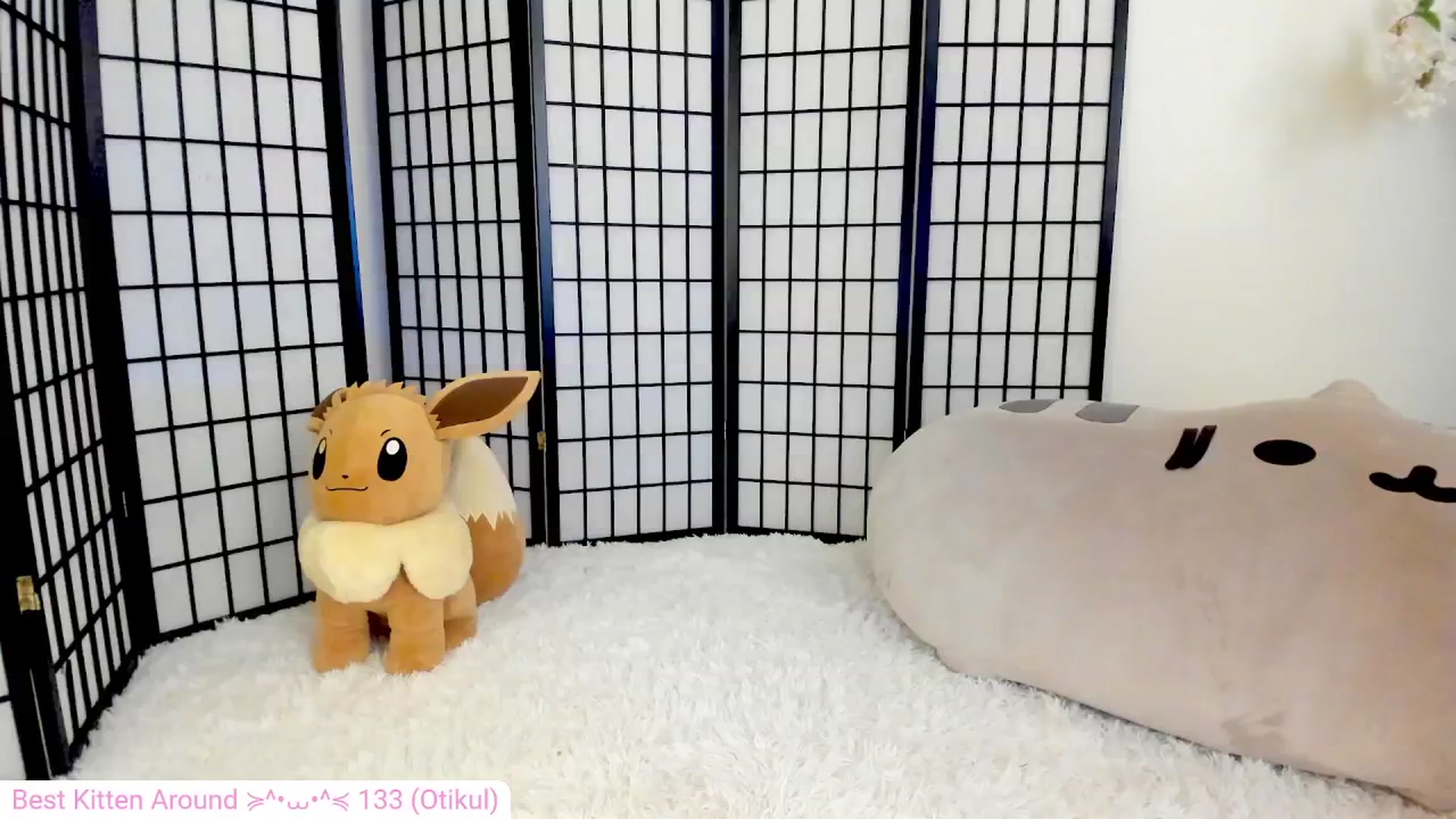 Gallery image thumbnail from Kitty's myfreecams stream on, 06/07/2024, 03:51 image 4 of 20