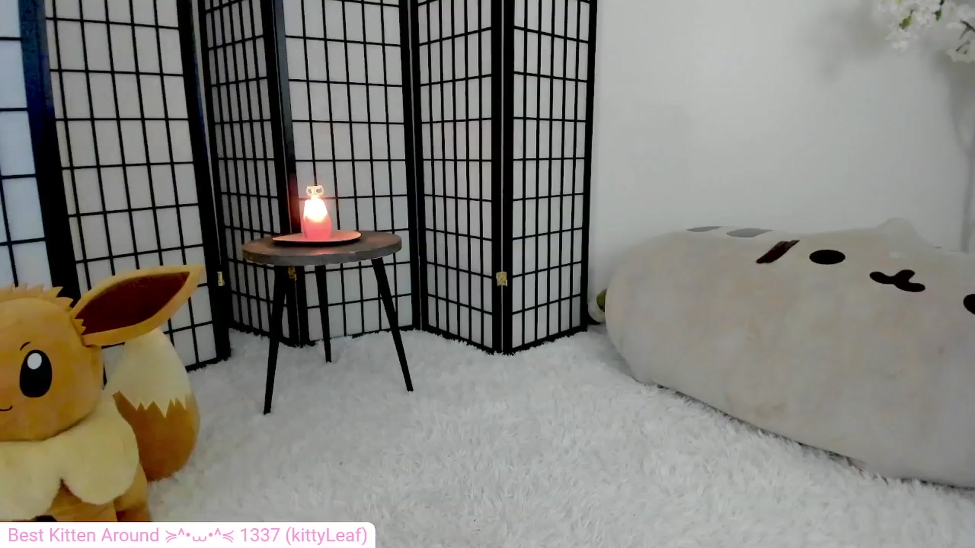 Gallery image thumbnail from Kitty's myfreecams stream on, 06/07/2024, 05:26 image 9 of 20