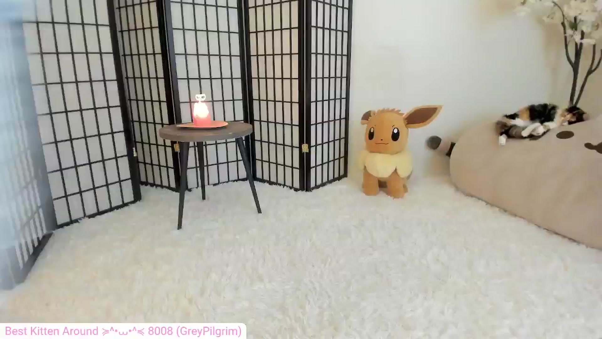 Gallery image thumbnail from Kitty's myfreecams stream on, 06/10/2024, 05:17 image 7 of 20