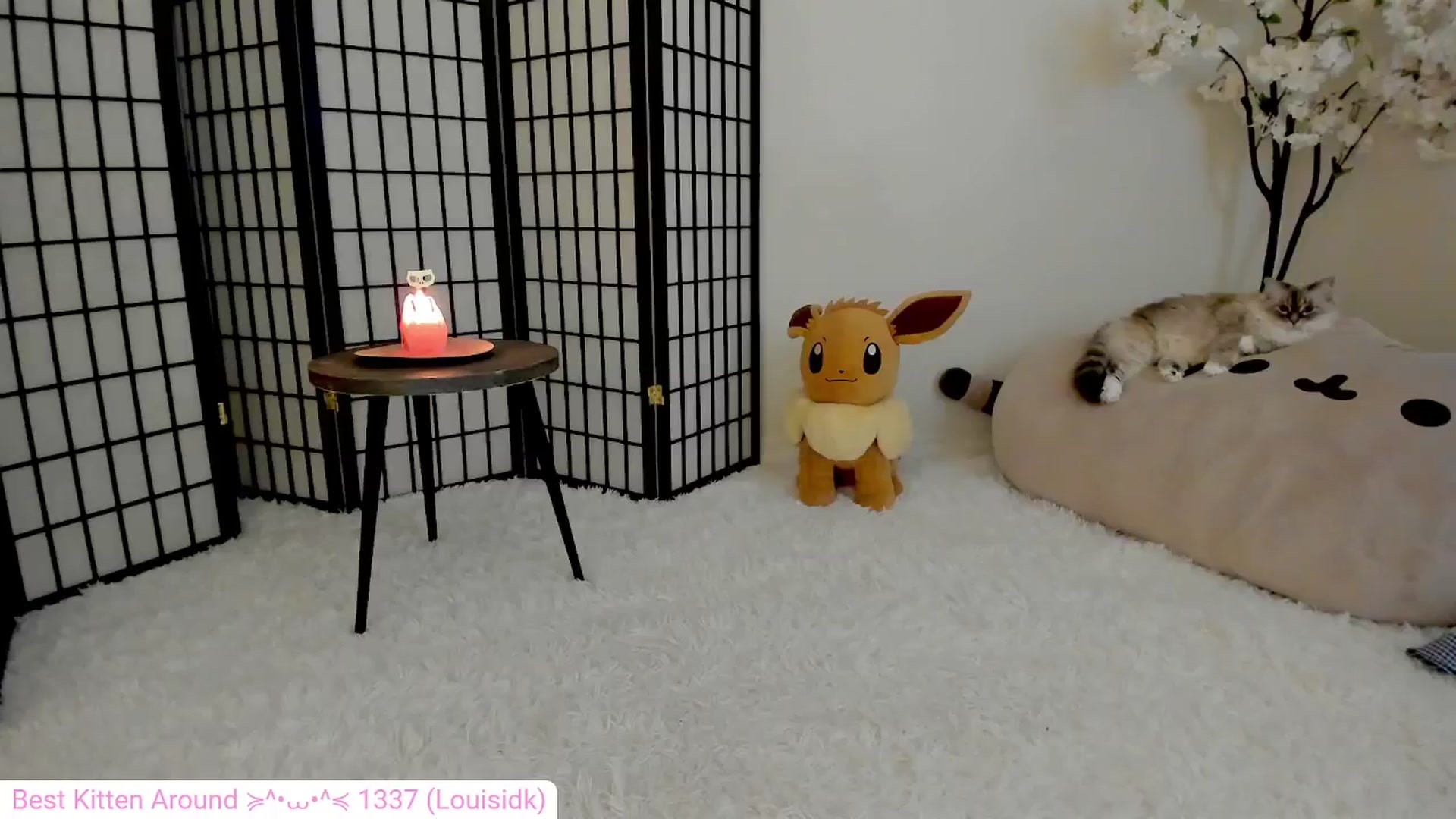 Gallery image thumbnail from Kitty's myfreecams stream on, 06/11/2024, 04:01 image 12 of 20