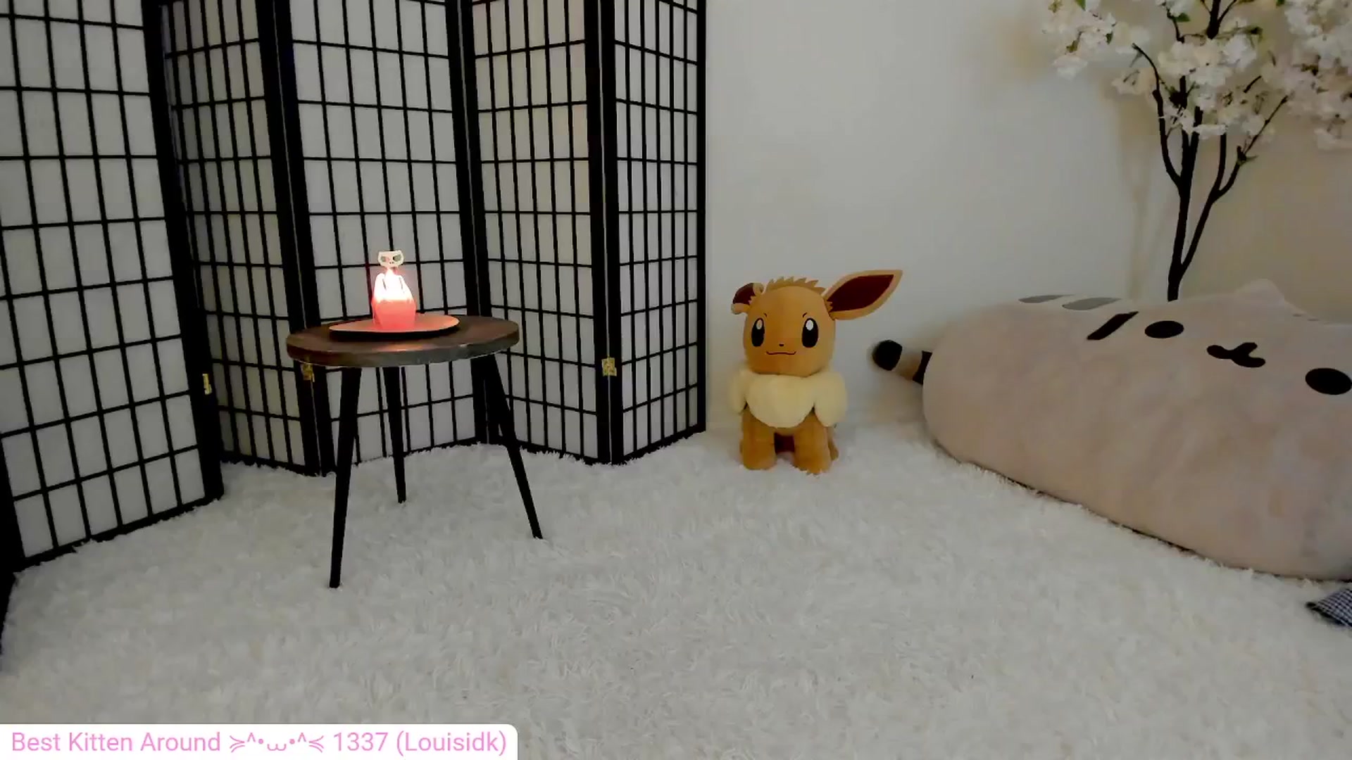 Gallery image thumbnail from Kitty's myfreecams stream on, 06/11/2024, 04:01 image 13 of 20