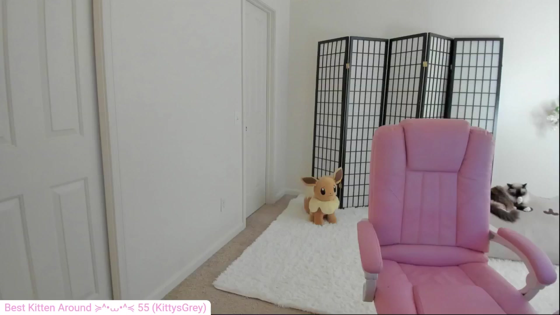 Gallery image thumbnail from Kitty's myfreecams stream on, 06/20/2024, 04:32 image 1 of 20
