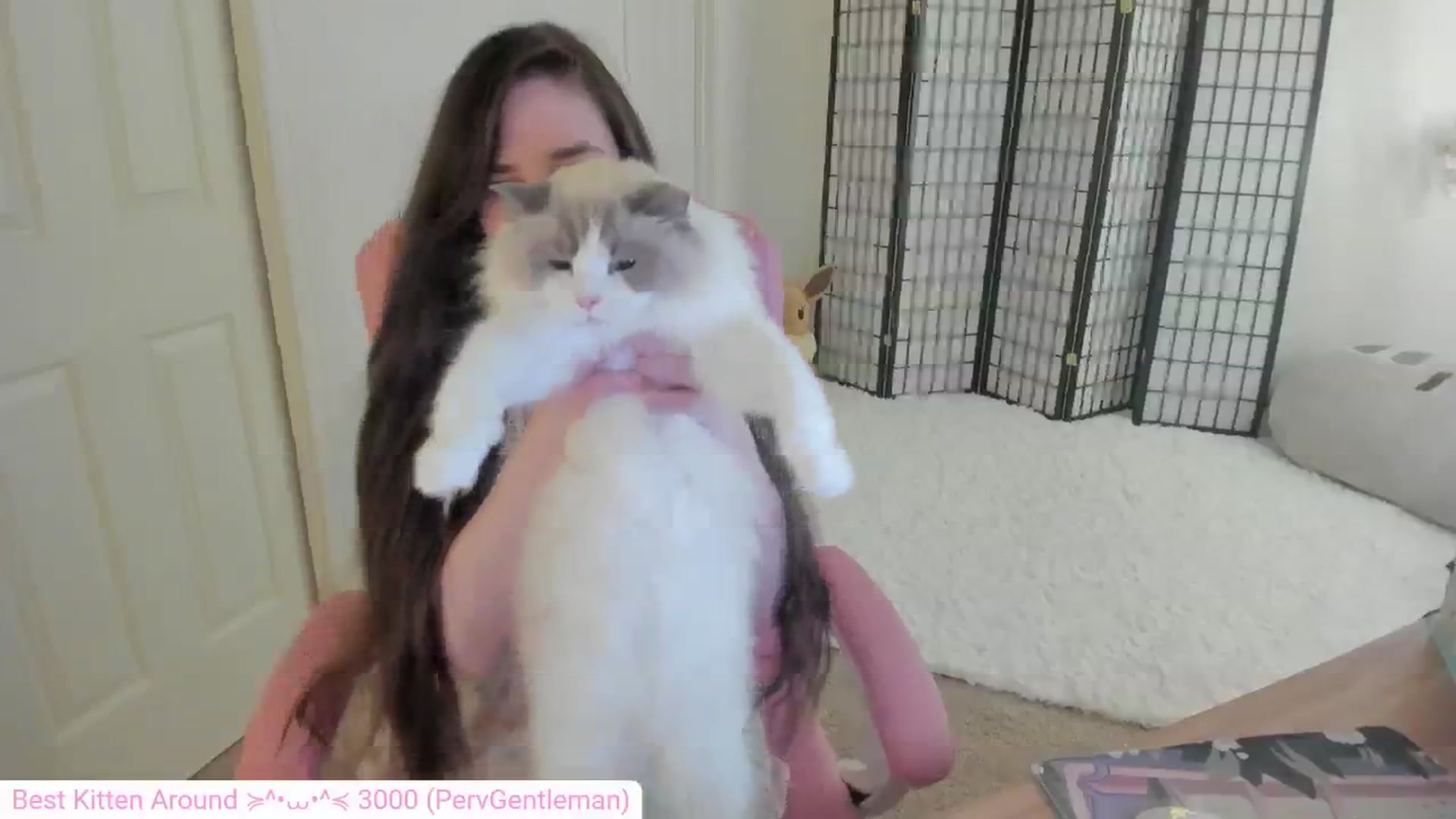 Gallery image thumbnail from Kitty's myfreecams stream on, 06/27/2024, 05:30 image 17 of 20