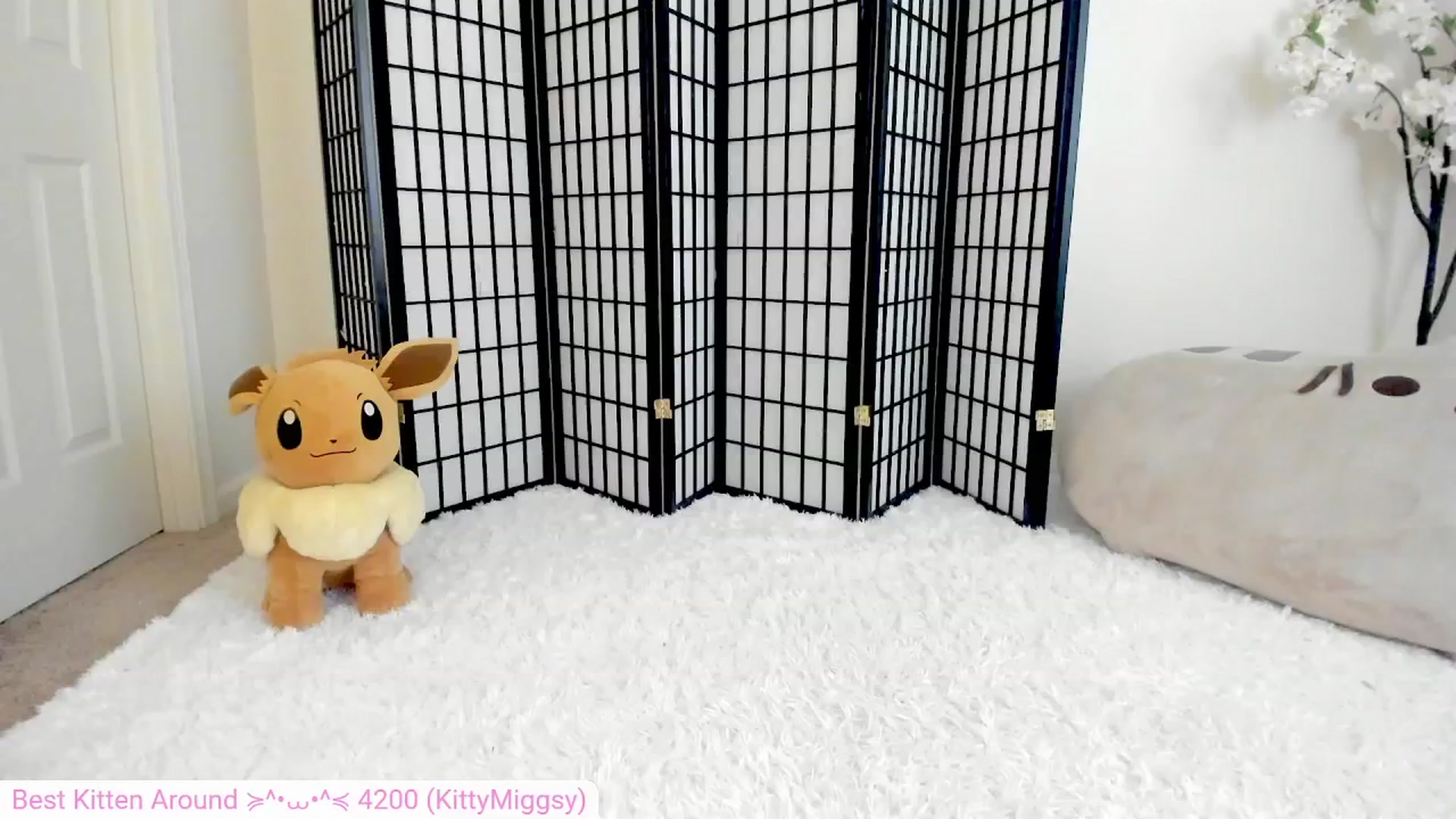 Gallery image thumbnail from Kitty's myfreecams stream on, 07/14/2024, 06:45 image 9 of 20