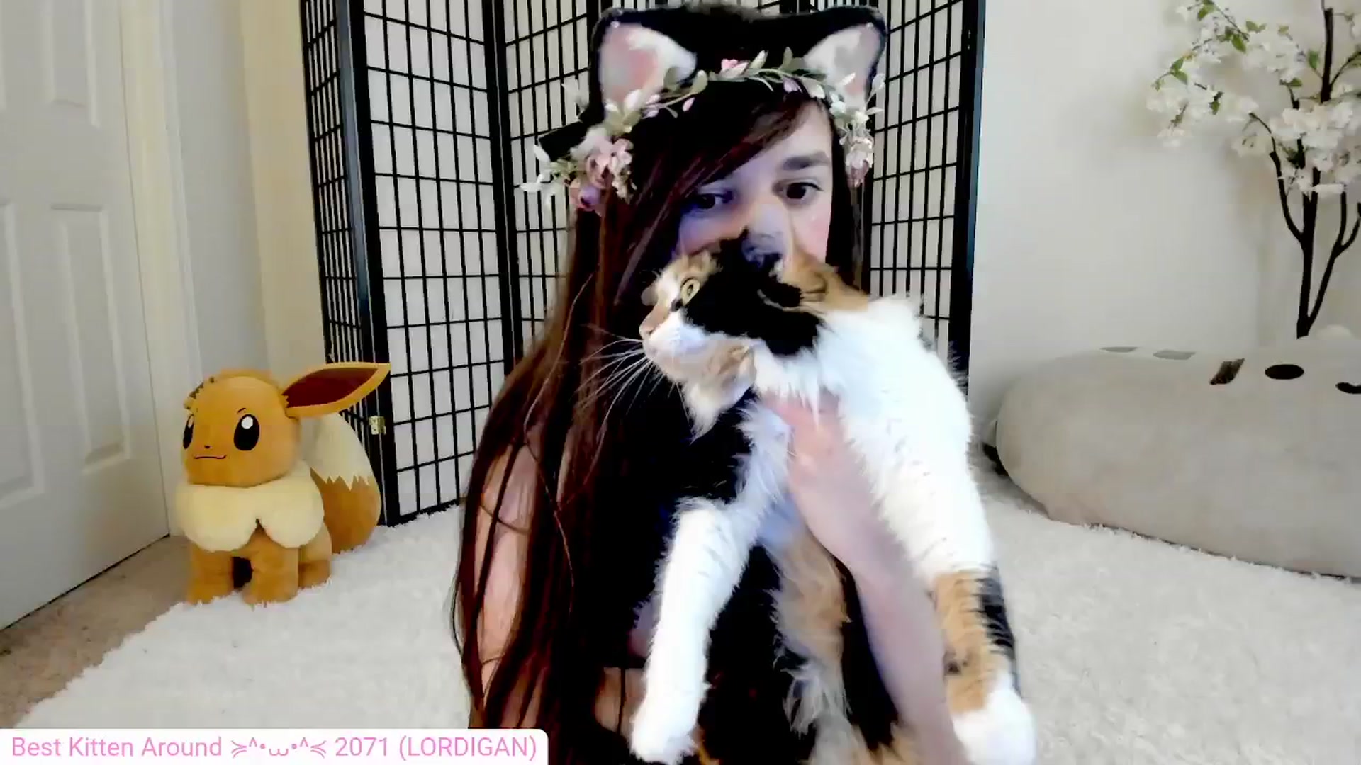 Gallery image thumbnail from Kitty's myfreecams stream on, 07/18/2024, 08:06 image 20 of 20