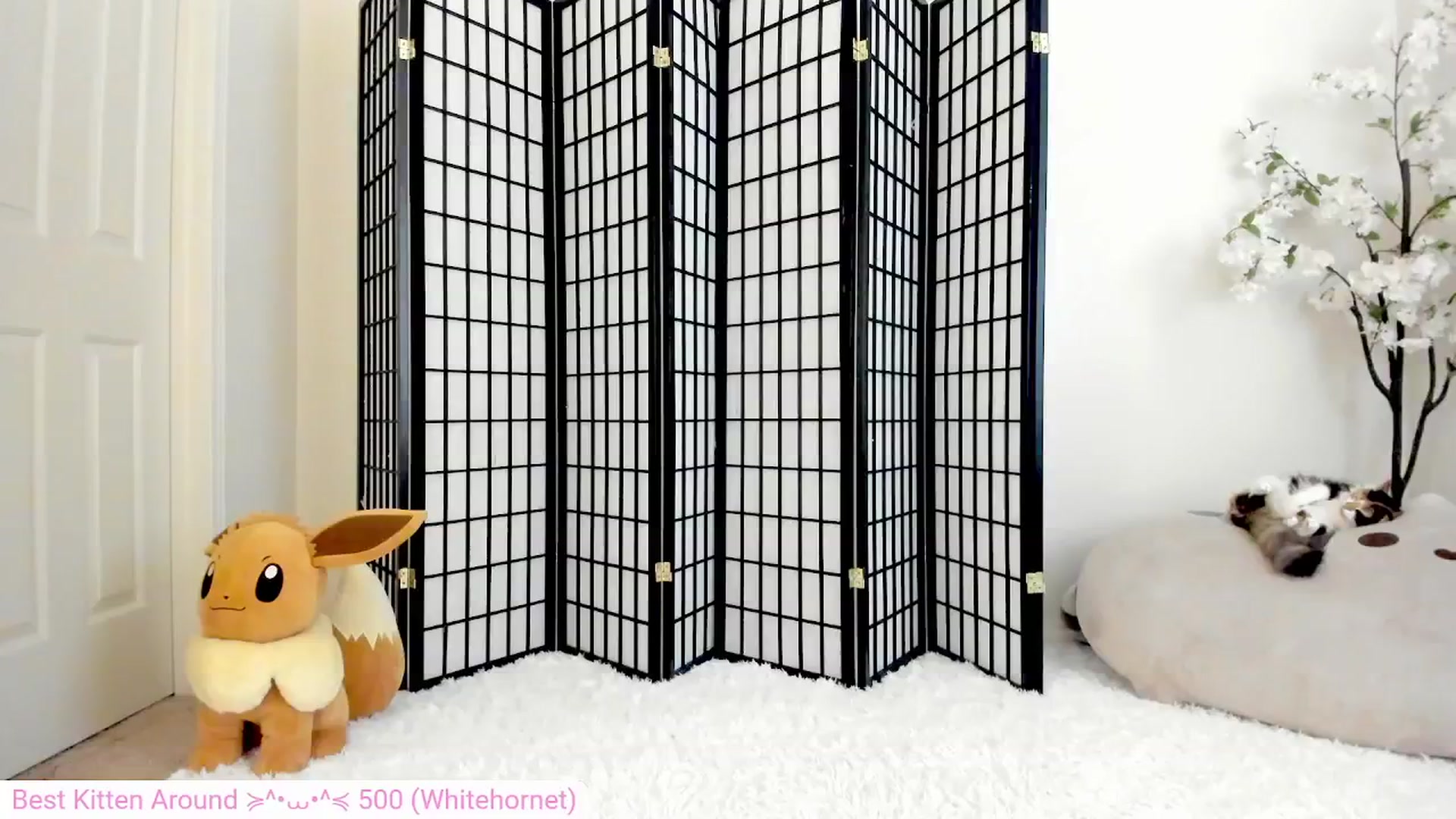 Gallery image thumbnail from Kitty's myfreecams stream on, 07/18/2024, 08:06 image 11 of 20