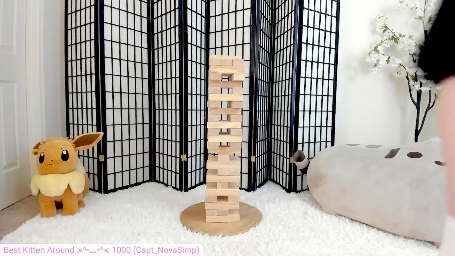 Gallery image thumbnail from Kitty's myfreecams stream on, 08/01/2024, 05:07 image 16 of 20