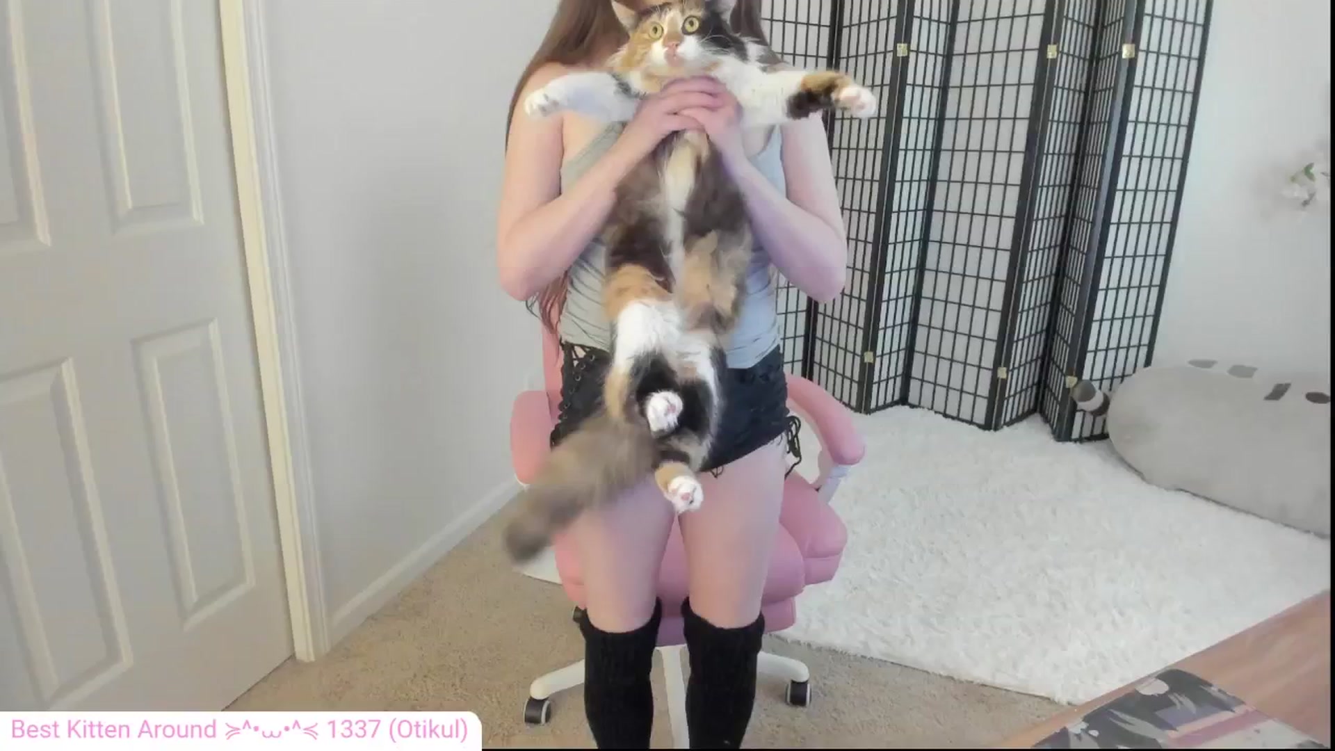 Gallery image thumbnail from Kitty's myfreecams stream on, 08/05/2024, 03:12 image 1 of 20
