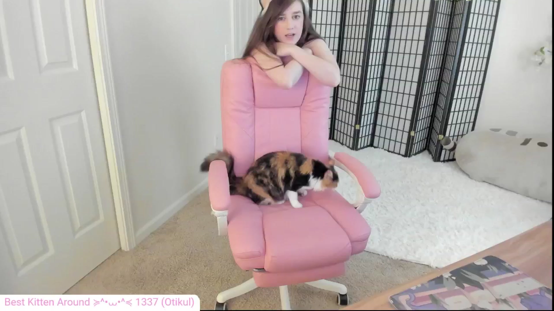 Gallery image thumbnail from Kitty's myfreecams stream on, 08/05/2024, 03:12 image 8 of 20