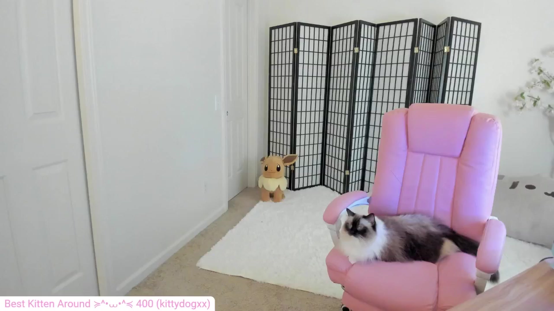 Gallery image thumbnail from Kitty's myfreecams stream on, 08/07/2024, 03:41 image 20 of 20