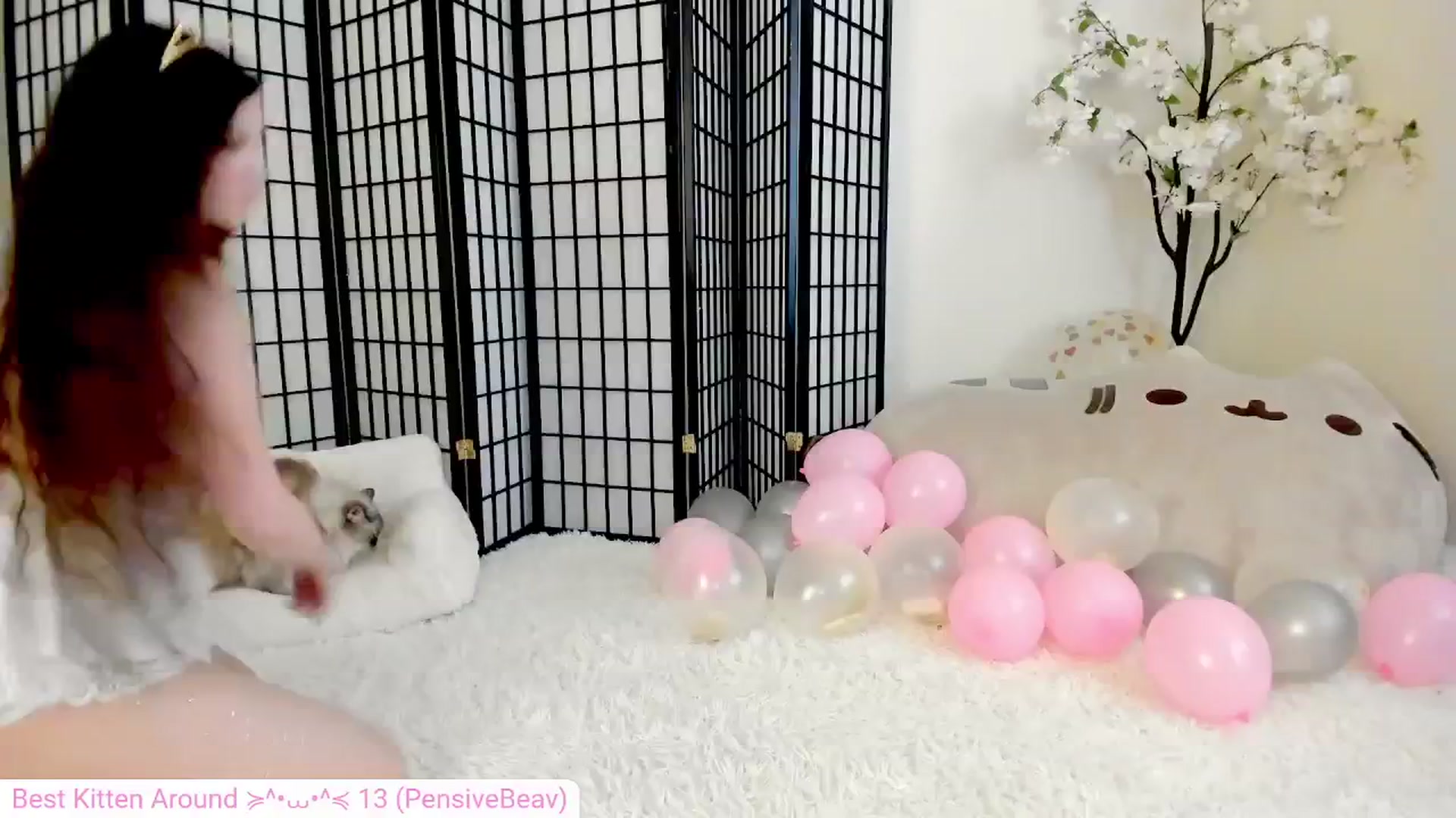 Gallery image thumbnail from Kitty's myfreecams stream on, 08/09/2024, 06:52 image 1 of 20