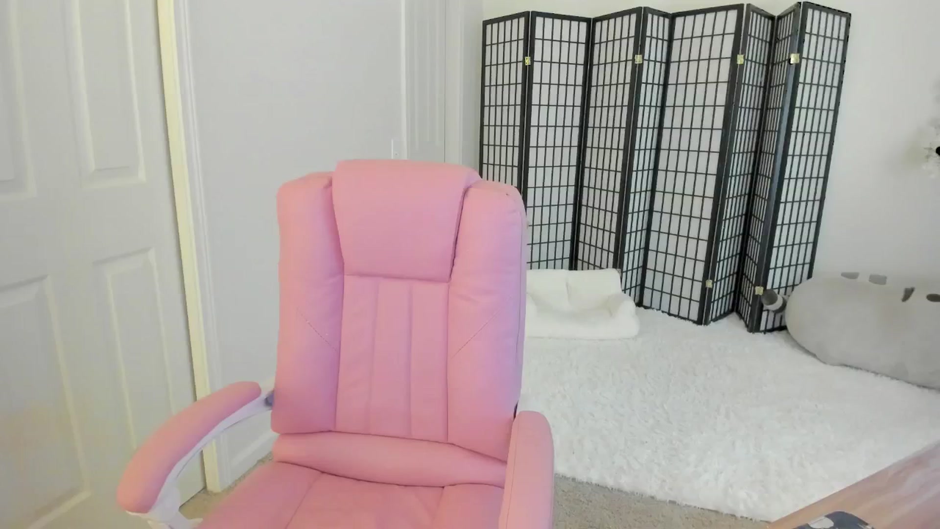 Gallery image thumbnail from Kitty's myfreecams stream on, 08/12/2024, 03:51 image 12 of 20