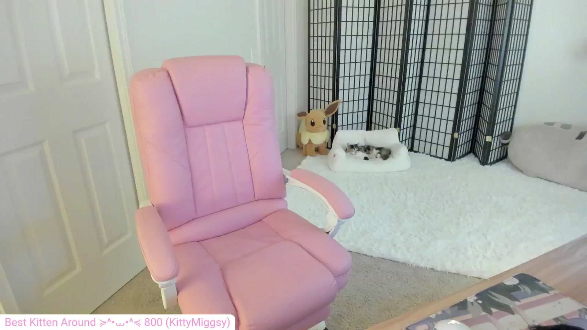 Gallery image thumbnail from Kitty's myfreecams stream on, 08/14/2024, 03:49 image 17 of 20