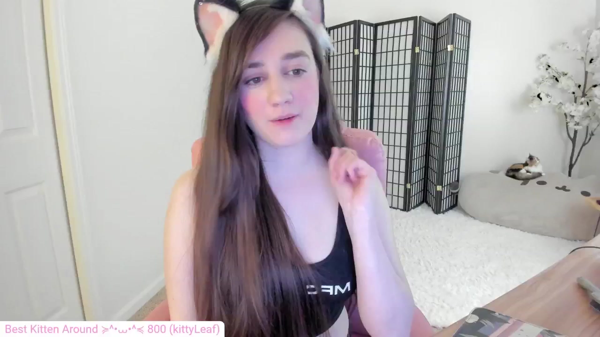 Gallery image thumbnail from Kitty's myfreecams stream on, 08/18/2024, 05:43 image 8 of 20