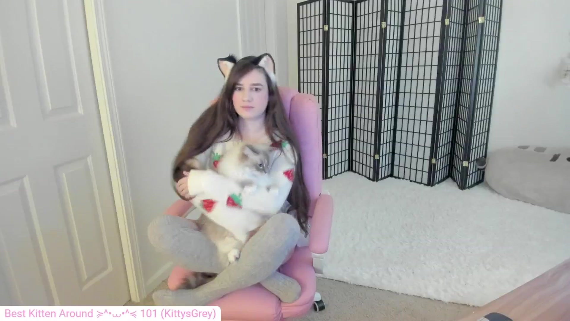 Gallery image thumbnail from Kitty's myfreecams stream on, 08/22/2024, 03:59 image 4 of 20