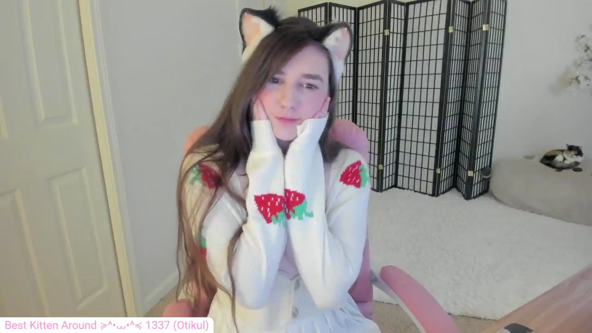 Gallery image thumbnail from Kitty's myfreecams stream on, 08/22/2024, 03:59 image 14 of 20