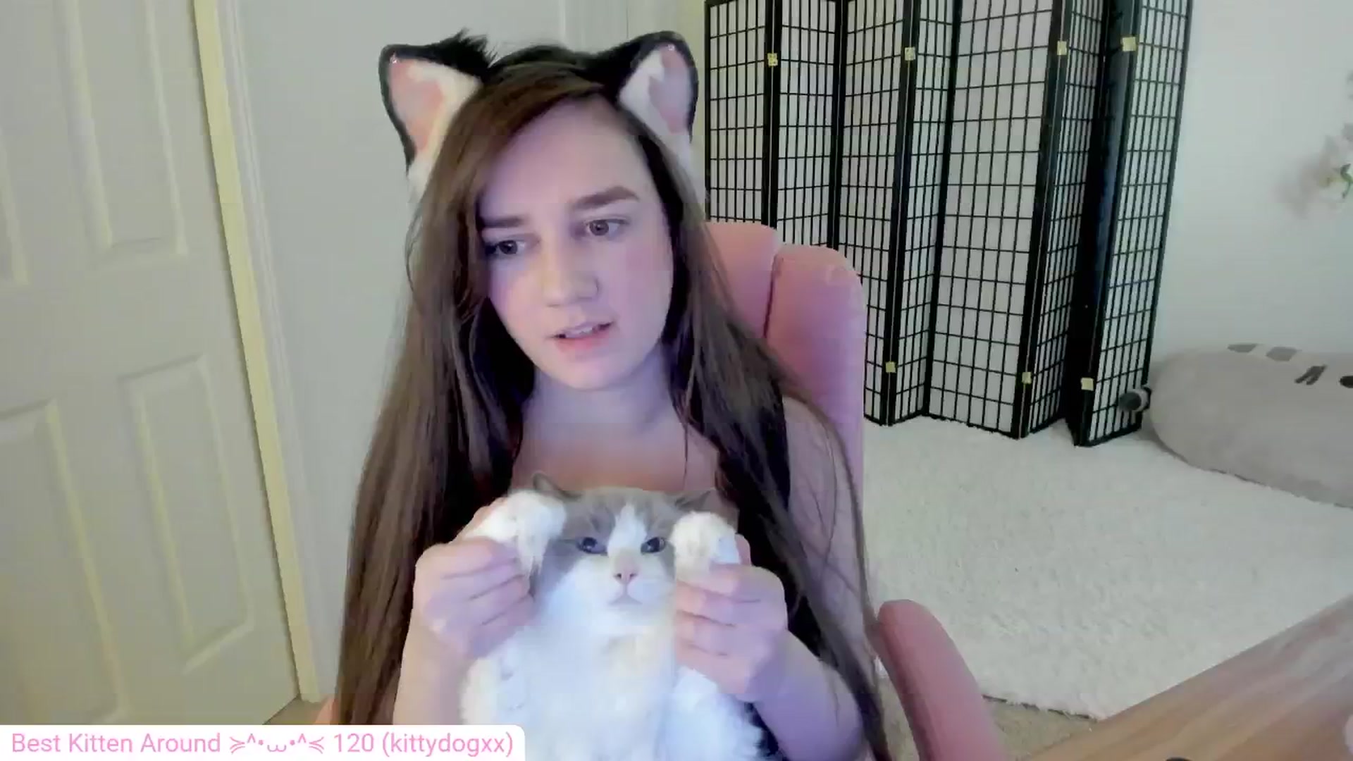 Gallery image thumbnail from Kitty's myfreecams stream on, 08/30/2024, 06:05 image 7 of 20
