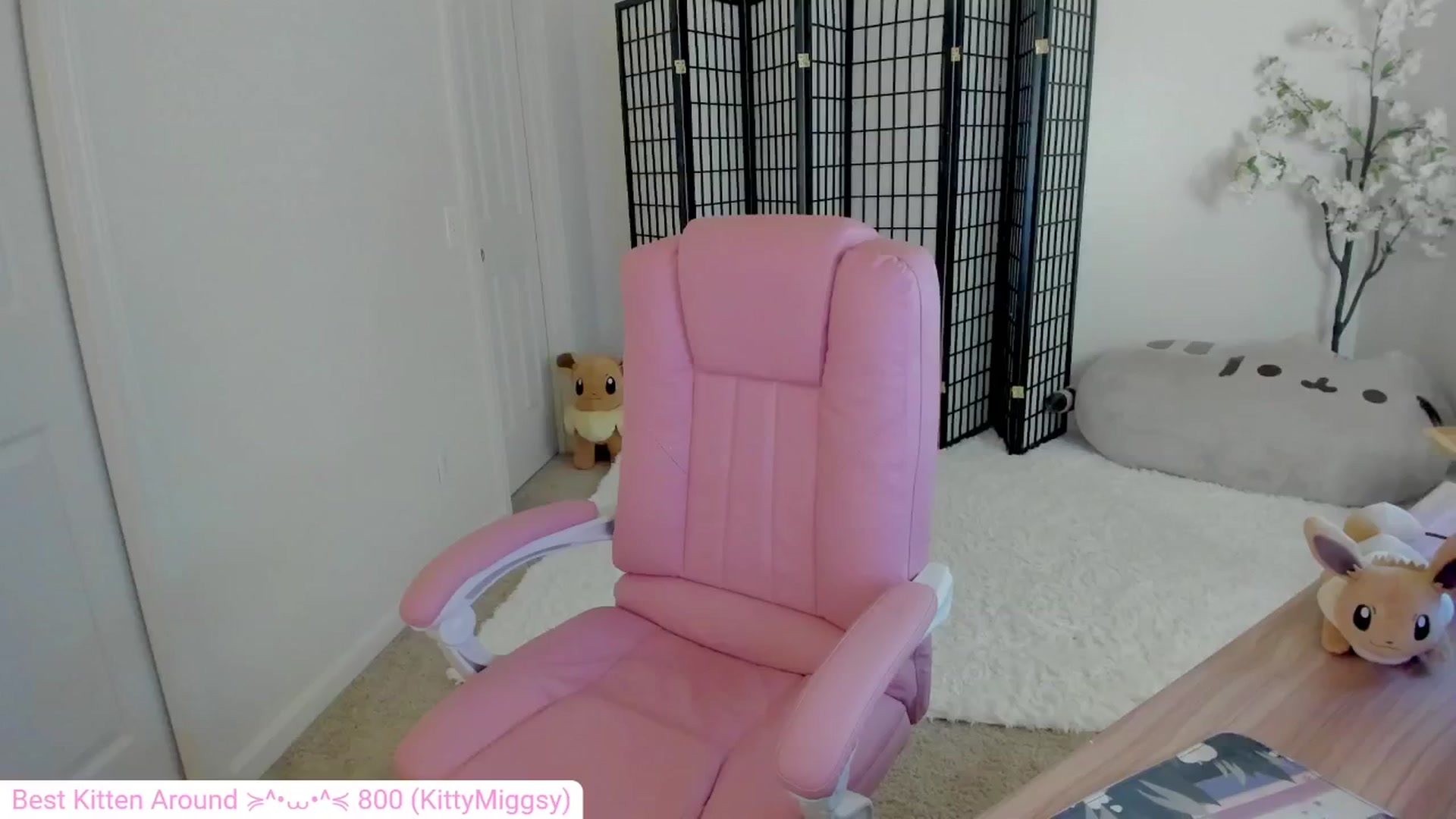 Gallery image thumbnail from Kitty's myfreecams stream on, 09/06/2024, 04:01 image 16 of 20
