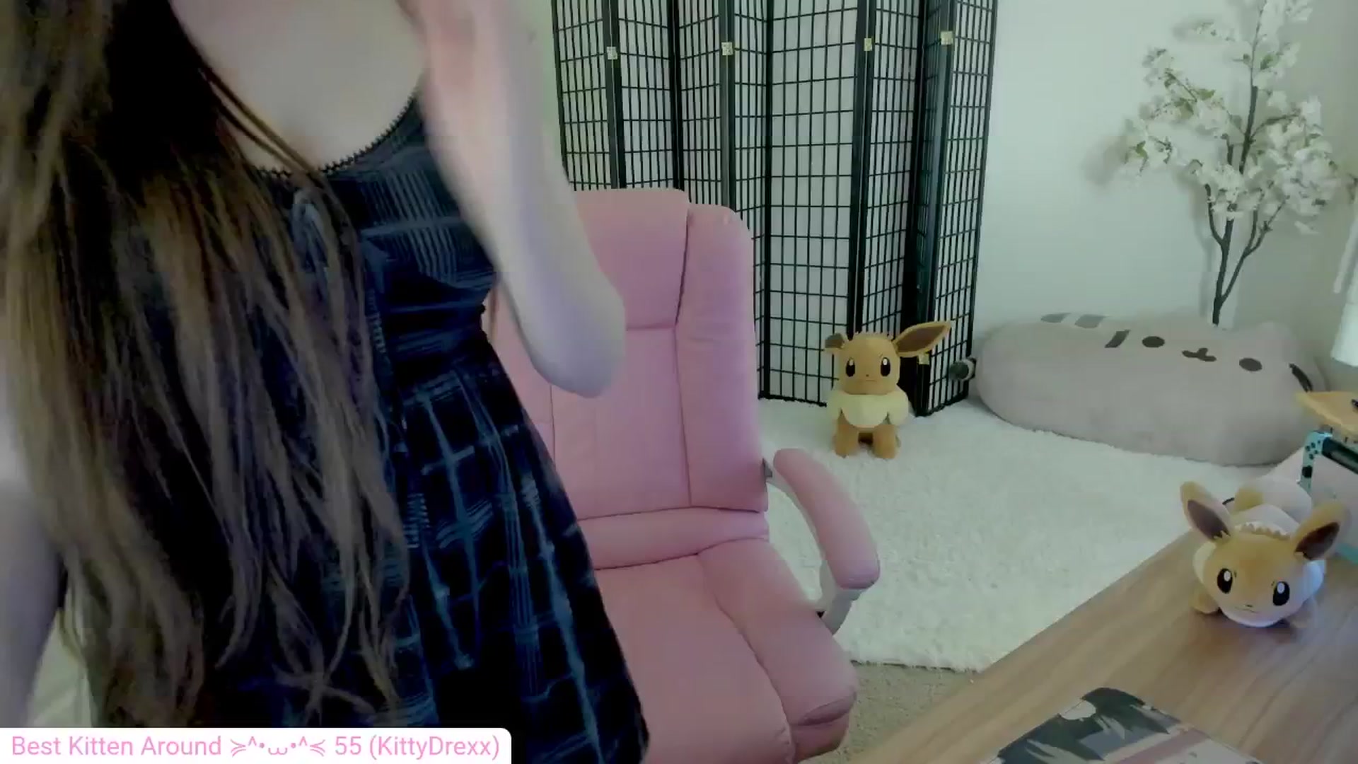 Gallery image thumbnail from Kitty's myfreecams stream on, 09/07/2024, 05:06 image 3 of 20