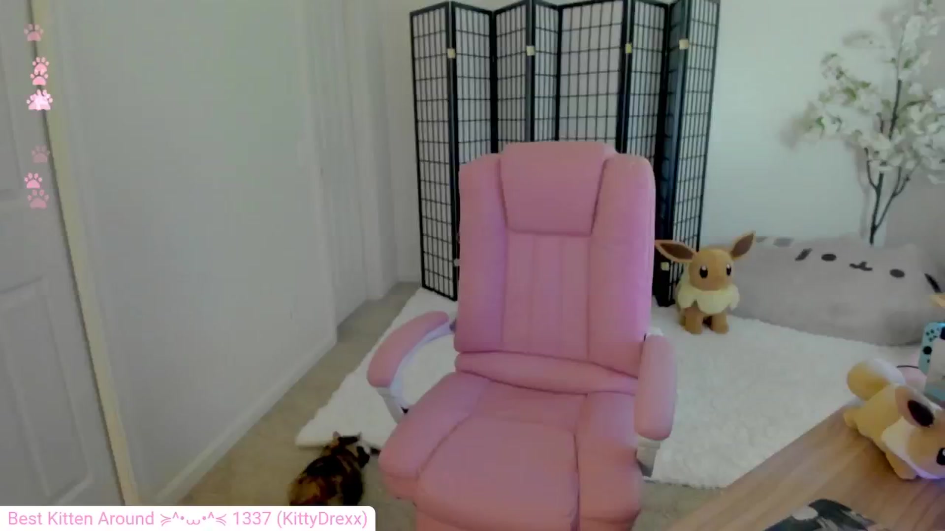 Gallery image thumbnail from Kitty's myfreecams stream on, 09/08/2024, 06:19 image 9 of 20