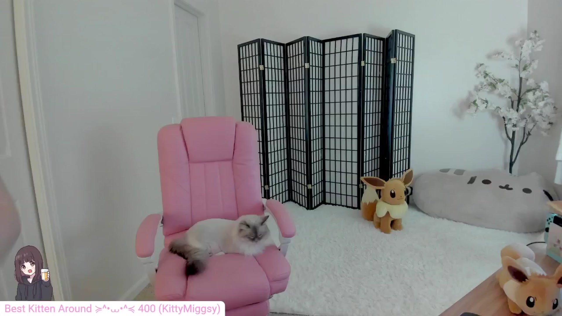 Gallery image thumbnail from Kitty's myfreecams stream on, 09/10/2024, 04:00 image 10 of 20