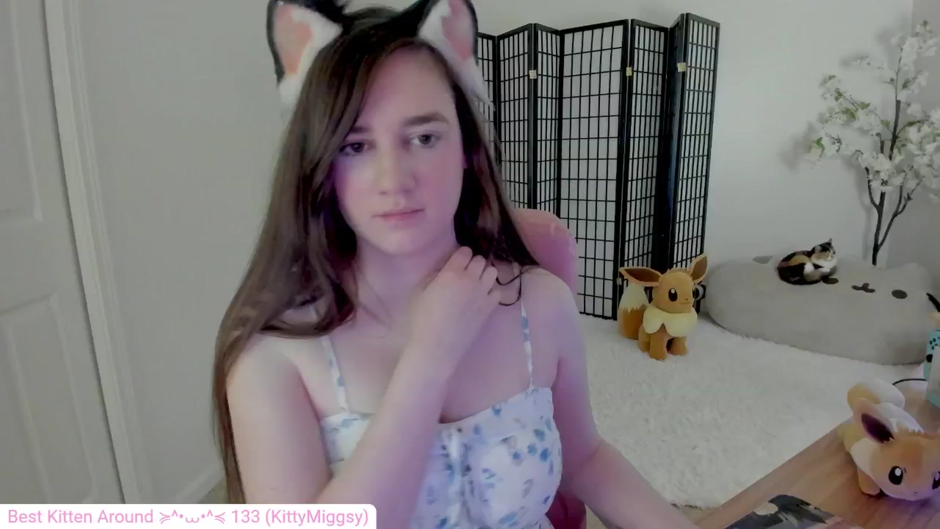 Gallery image thumbnail from Kitty's myfreecams stream on, 09/11/2024, 03:39 image 18 of 20