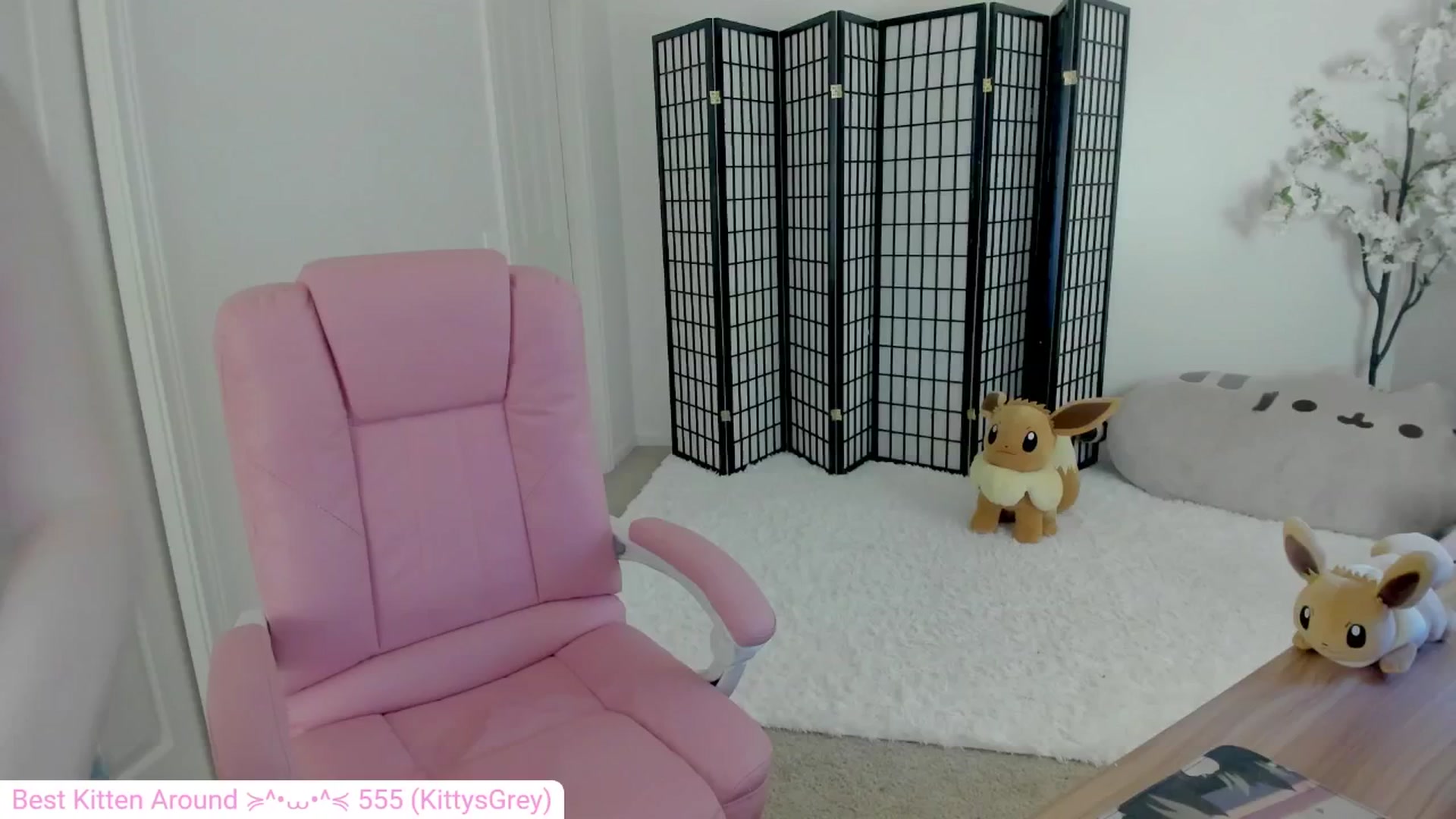 Gallery image thumbnail from Kitty's myfreecams stream on, 09/13/2024, 05:10 image 17 of 20