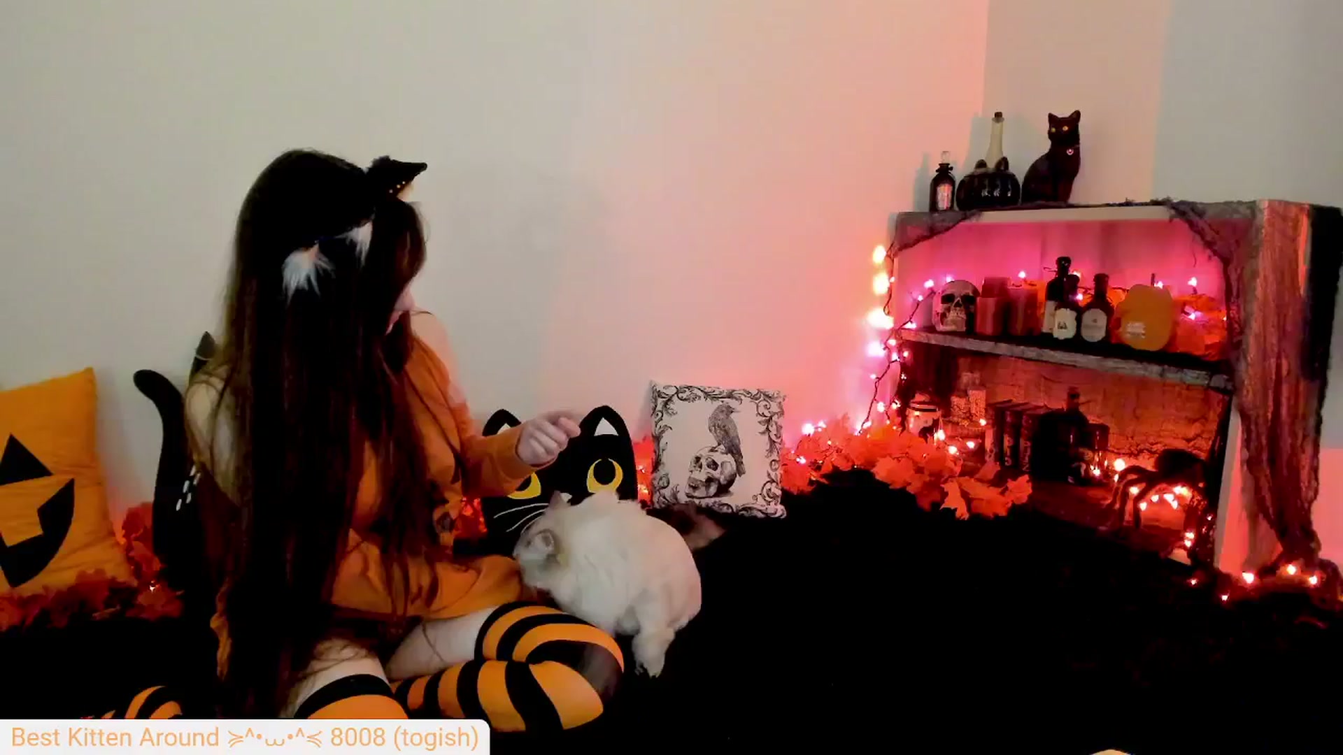 Gallery image thumbnail from Kitty's myfreecams stream on, 10/01/2024, 09:13 image 11 of 20