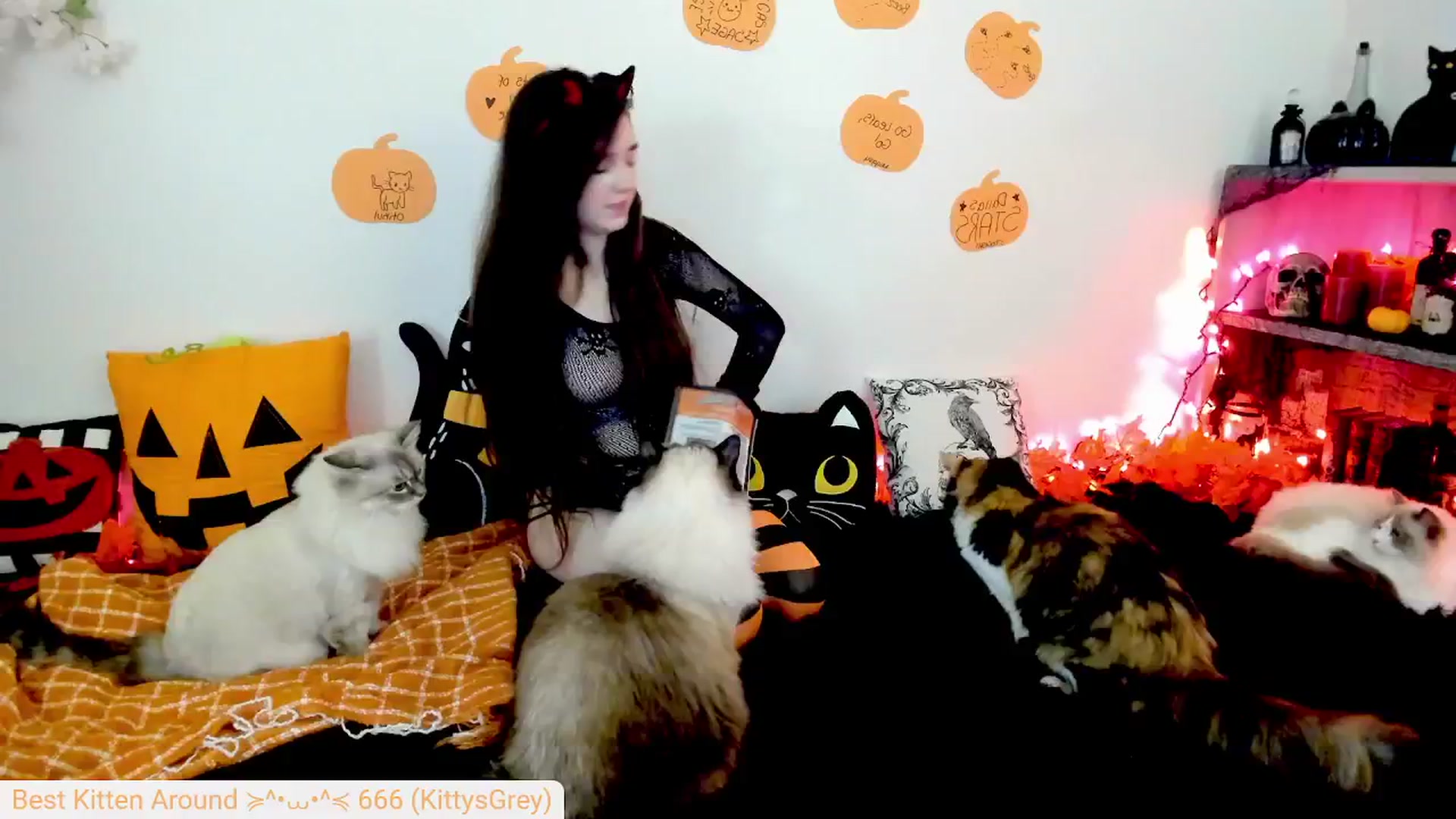 Gallery image thumbnail from Kitty's myfreecams stream on, 10/02/2024, 06:11 image 15 of 20