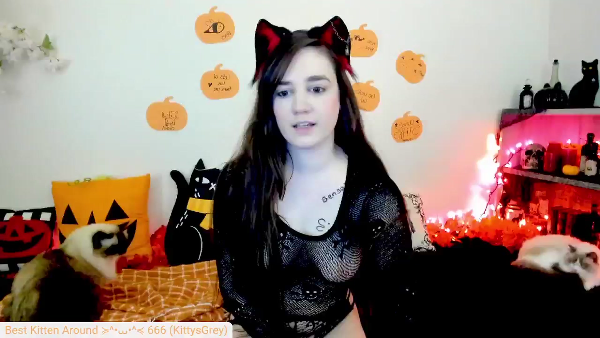 Gallery image thumbnail from Kitty's myfreecams stream on, 10/02/2024, 06:11 image 13 of 20
