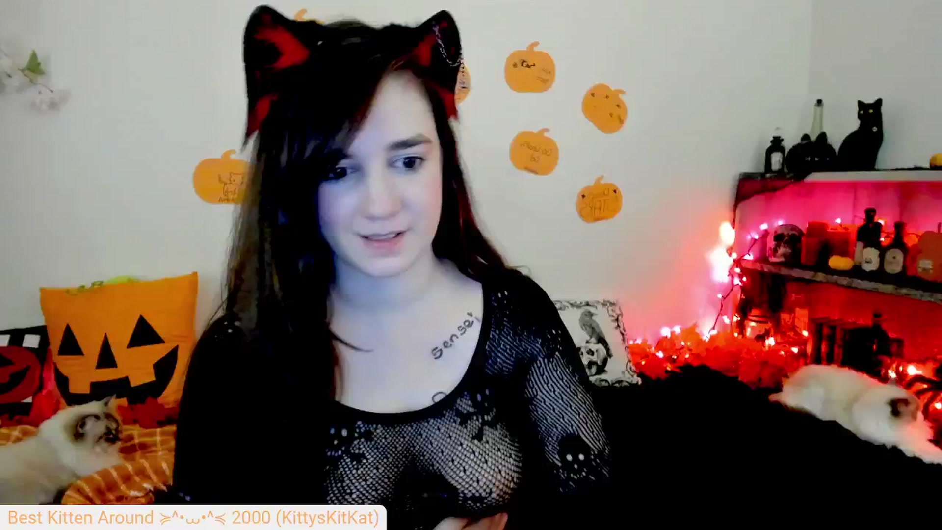 Gallery image thumbnail from Kitty's myfreecams stream on, 10/02/2024, 06:40 image 19 of 20