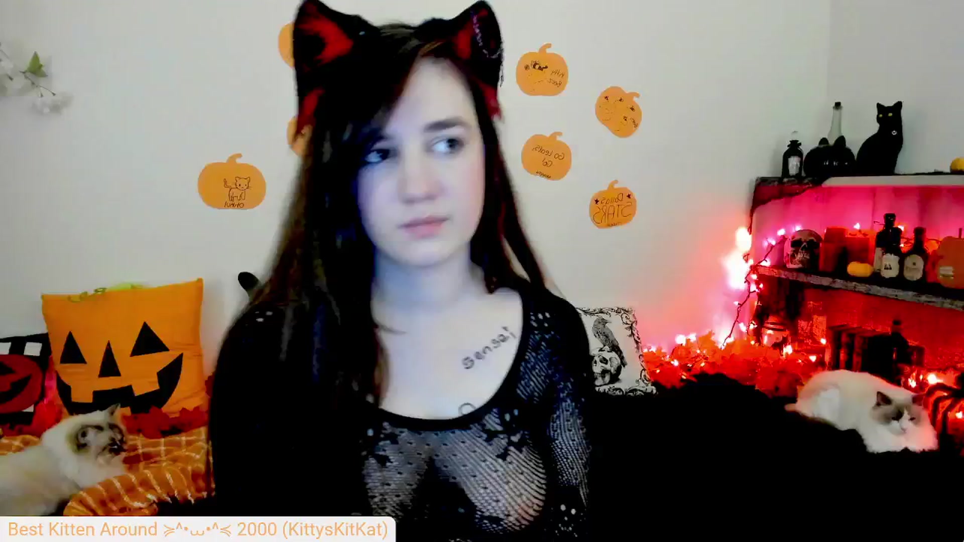 Gallery image thumbnail from Kitty's myfreecams stream on, 10/02/2024, 06:40 image 18 of 20