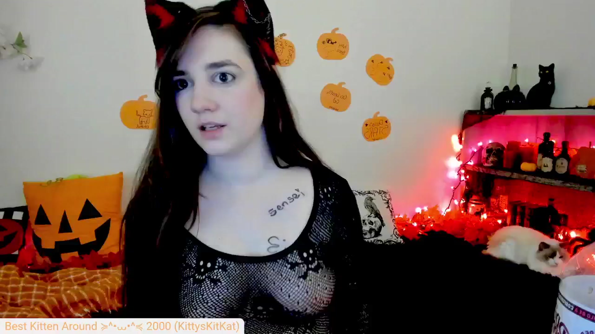 Gallery image thumbnail from Kitty's myfreecams stream on, 10/02/2024, 06:40 image 13 of 20