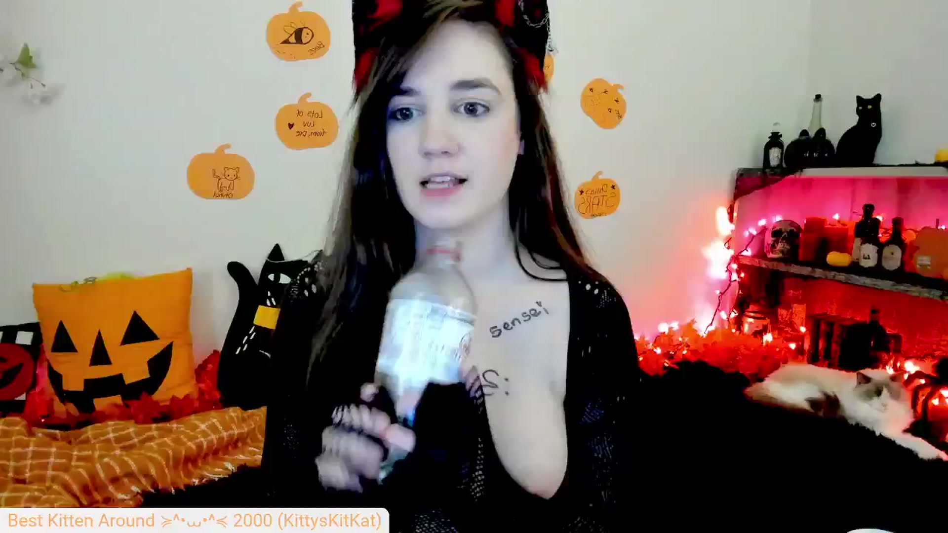 Gallery image thumbnail from Kitty's myfreecams stream on, 10/02/2024, 06:40 image 5 of 20