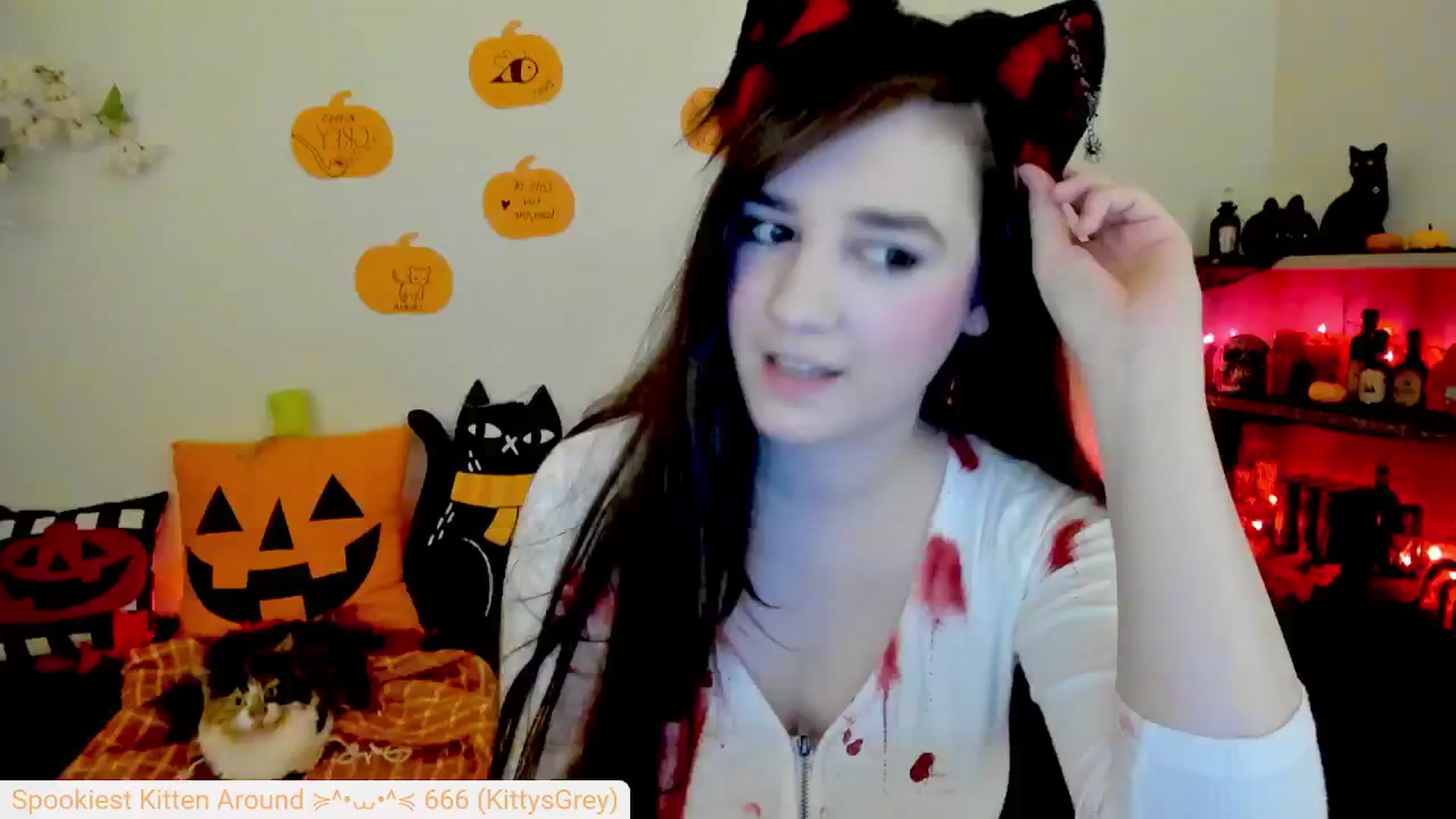 Gallery image thumbnail from Kitty's myfreecams stream on, 10/04/2024, 04:37 image 9 of 20