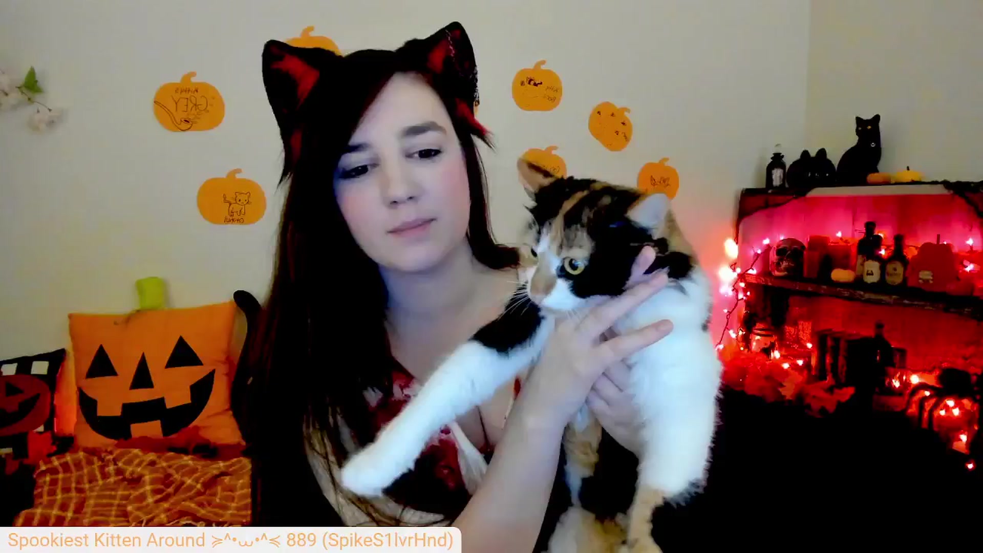 Gallery image thumbnail from Kitty's myfreecams stream on, 10/04/2024, 05:56 image 2 of 20