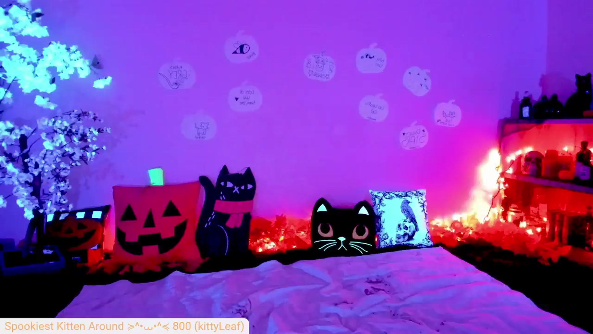Gallery image thumbnail from Kitty's myfreecams stream on, 10/05/2024, 06:00 image 1 of 20