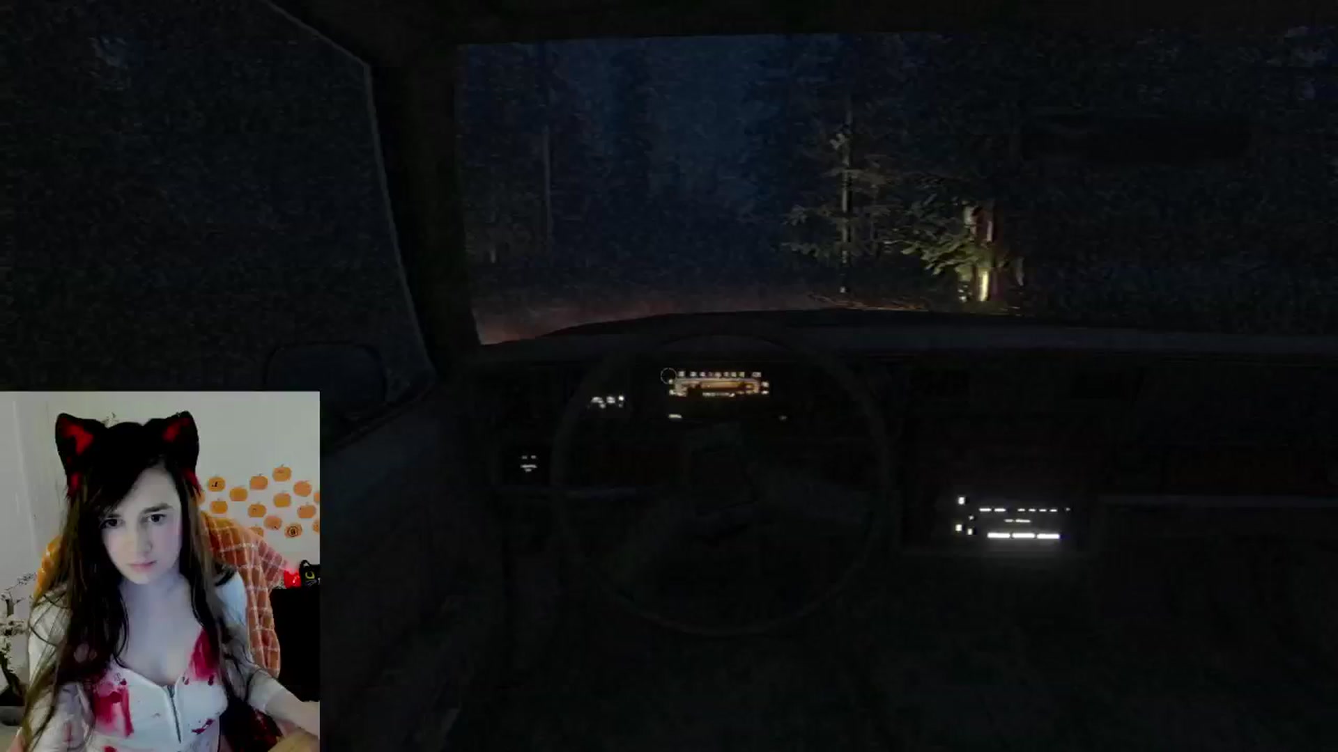 Gallery image thumbnail from Kitty's myfreecams stream on, 10/17/2024, 04:52 image 9 of 20