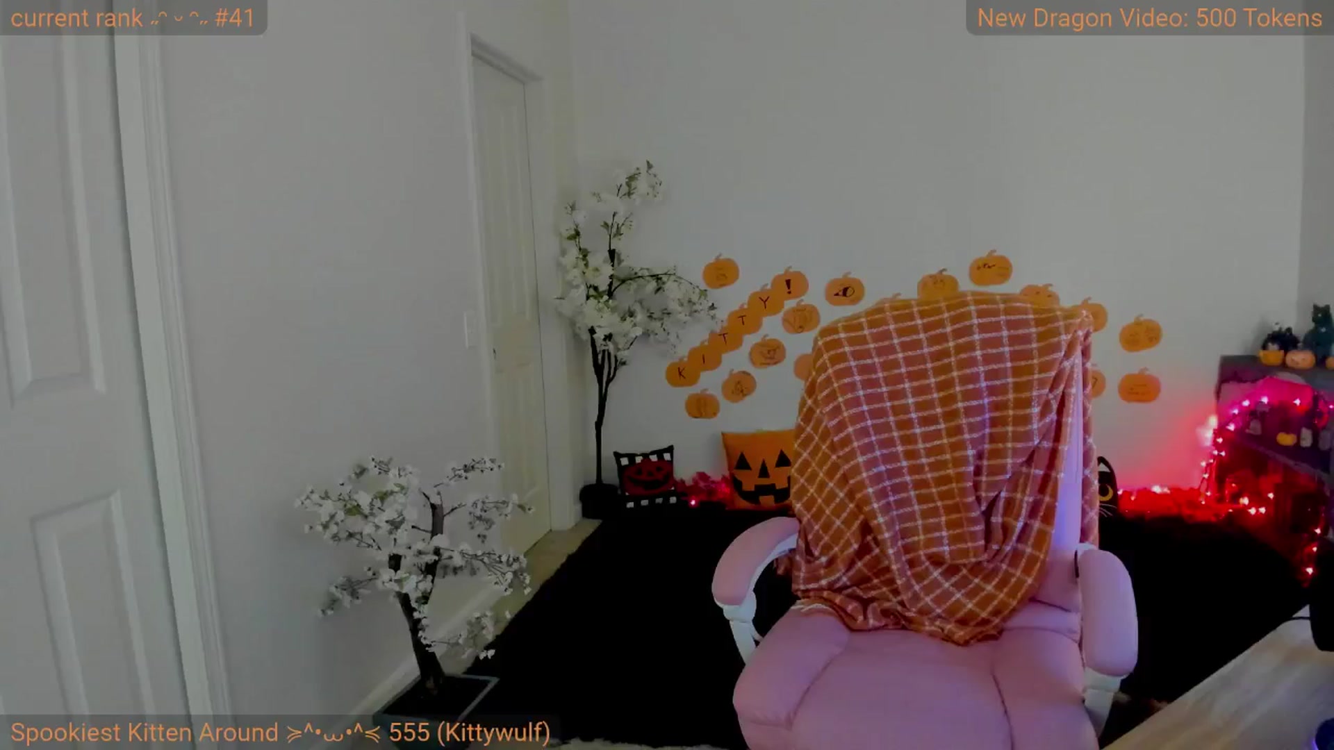 Gallery image thumbnail from Kitty's myfreecams stream on, 10/18/2024, 07:13 image 14 of 20