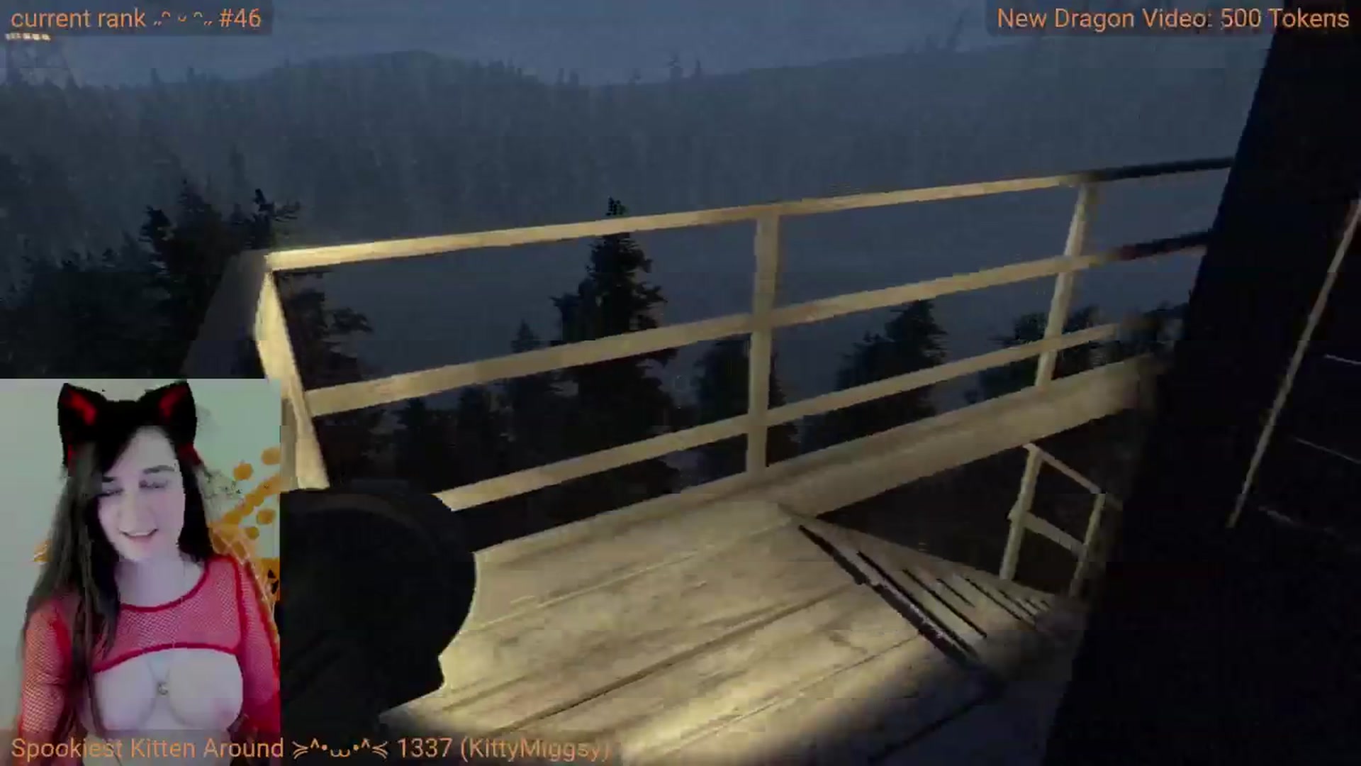 Gallery image thumbnail from Kitty's myfreecams stream on, 10/26/2024, 09:01 image 11 of 20