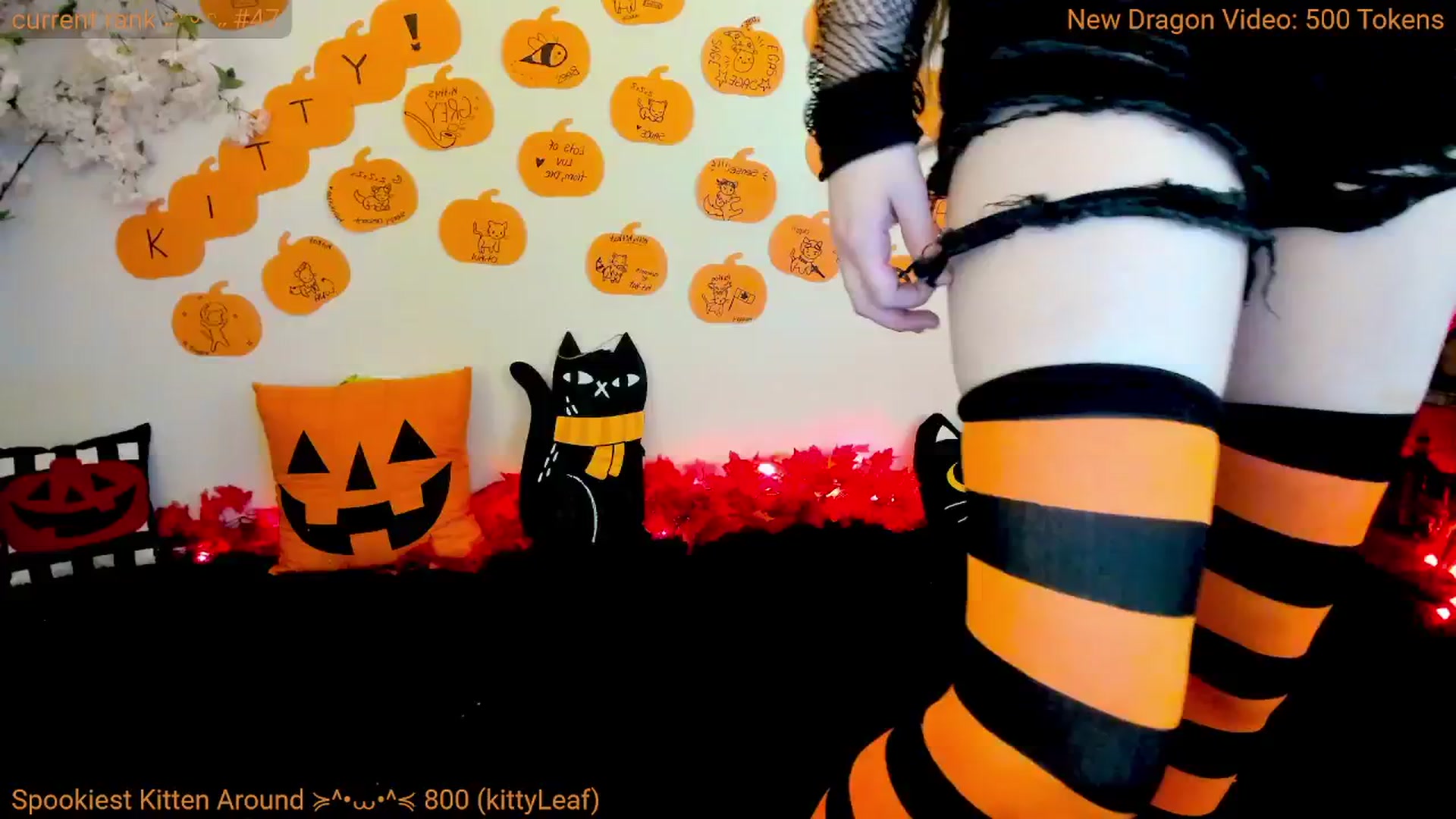 Gallery image thumbnail from Kitty's myfreecams stream on, 10/27/2024, 07:06 image 10 of 20