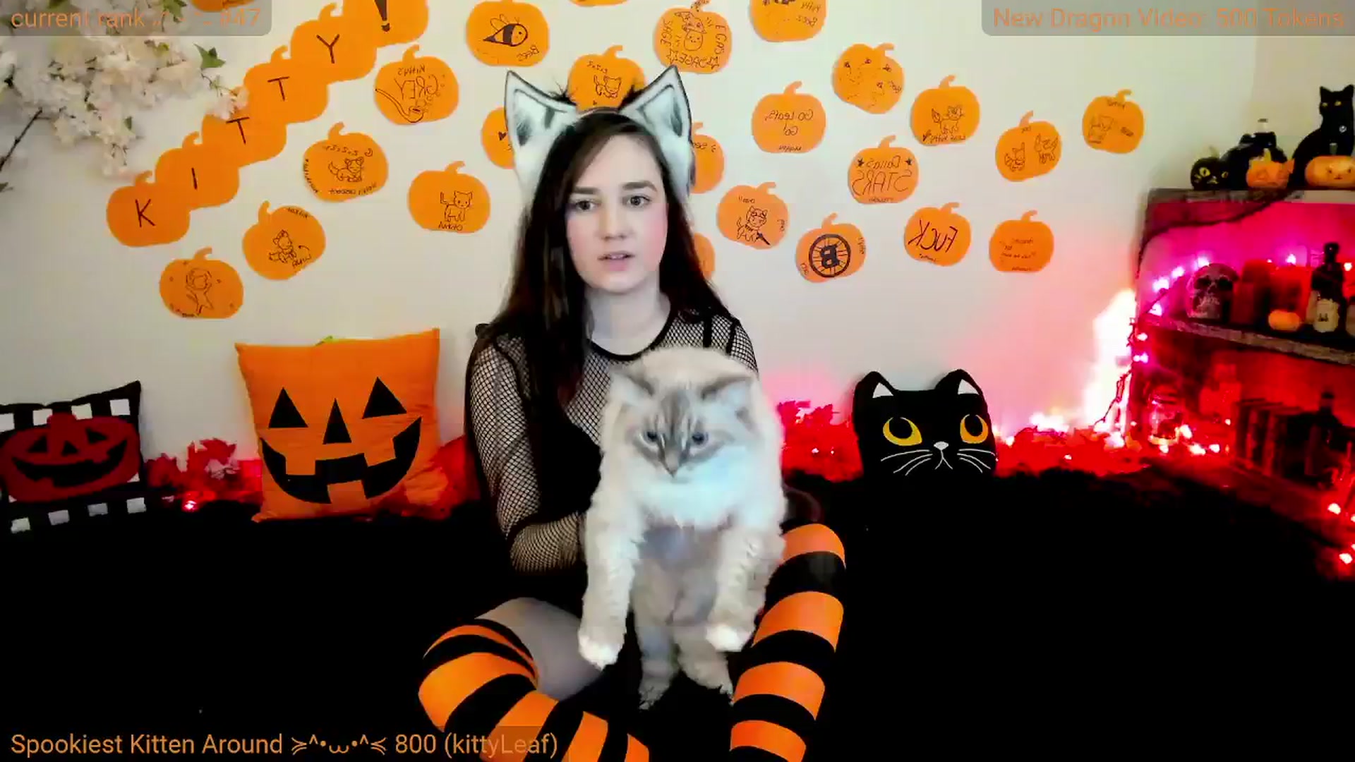 Gallery image thumbnail from Kitty's myfreecams stream on, 10/27/2024, 07:06 image 15 of 20